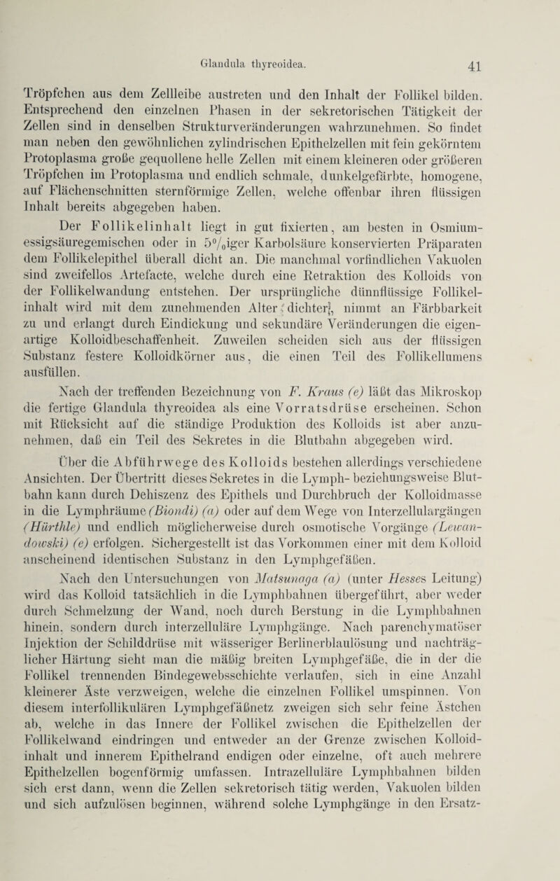 Tröpfchen aus dem Zellleibe austreten und den Inhalt der Follikel bilden. Entsprechend den einzelnen Phasen in der sekretorischen Tätigkeit der Zellen sind in denselben Strukturveränderungen wahrzunehmen. So findet man neben den gewöhnlichen zylindrischen Epithelzellen mit fein gekörntem Protoplasma große gequollene helle Zellen mit einem kleineren oder größeren Tröpfchen im Protoplasma und endlich schmale, dunkelgefärbte, homogene, aut Flächenschnitten sternförmige Zellen, welche offenbar ihren flüssigen Inhalt bereits abgegeben haben. Der Follikelinhalt liegt in gut fixierten, am besten in Osmium¬ essigsäuregemischen oder in 5°/0iger Karbolsäure konservierten Präparaten dem Follikelepithel überall dicht an. Die manchmal vorbildlichen Vakuolen sind zweifellos Artefacte, welche durch eine Retraktion des Kolloids von der Follikelwandung entstehen. Der ursprüngliche dünnflüssige Follikel¬ inhalt wird mit dem zunehmenden Alter; dichter], nimmt an Färbbarkeit zu und erlangt durch Eindickung und sekundäre Veränderungen die eigen¬ artige Kolloidbeschaffenheit. Zuweilen scheiden sich aus der flüssigen Substanz festere Kolloidkörner aus, die einen Teil des Follikellumens ausfüllen. Nach der treffenden Bezeichnung von F. Kraus (e) läßt das Mikroskop die fertige Glandula thyreoidea als eine Vor rat sdrüse erscheinen. Schon mit Rücksicht auf die ständige Produktion des Kolloids ist aber anzu¬ nehmen, daß ein Teil des Sekretes in die Blutbahn abgegeben wird. Über die Abführwege des Kolloids bestehen allerdings verschiedene Ansichten. Der Übertritt dieses Sekretes in die Lymph- beziehungsweise Blut¬ bahn kann durch Dehiszenz des Epithels und Durchbruch der Kolloidmasse in die Lymphräume (Biondi) (a) oder auf dem Wege von Interzellulargängen (Hürthle) und endlich möglicherweise durch osmotische Vorgänge (Lewan- clowski) (e) erfolgen. Sichergestellt ist das Vorkommen einer mit dem Kolloid anscheinend identischen Substanz in den Lymphgefäßen. Nach den Untersuchungen von Matsunaga (a) (unter Hessen Leitung) wird das Kolloid tatsächlich in die Lymphbahnen übergeführt, aber weder durch Schmelzung der Wand, noch durch Berstung in die Lymphbahnen hinein, sondern durch interzelluläre Lymphgänge. Nach parenchymatöser Injektion der Schilddrüse mit wässeriger Berlinerblaulösung und nachträg¬ licher Härtung sieht man die mäßig breiten Lymphgefäße, die in der die Follikel trennenden Bindegewebsschichte verlaufen, sich in eine Anzahl kleinerer Äste verzweigen, welche die einzelnen Follikel umspinnen. Von diesem interfollikulären Lymphgefäßnetz zweigen sich sehr feine Ästchen ab, welche in das Innere der Follikel zwischen die Epithelzellen der Follikelwand eindringen und entweder an der Grenze zwischen Kolloid¬ inhalt und innerem Epithelrand endigen oder einzelne, oft auch mehrere Epithelzellen bogenförmig umfassen. Intrazelluläre Lymphbahnen bilden sich erst dann, wenn die Zellen sekretorisch tätig werden, Vakuolen bilden und sich aufzulösen beginnen, während solche Lymphgänge in den Ersatz-