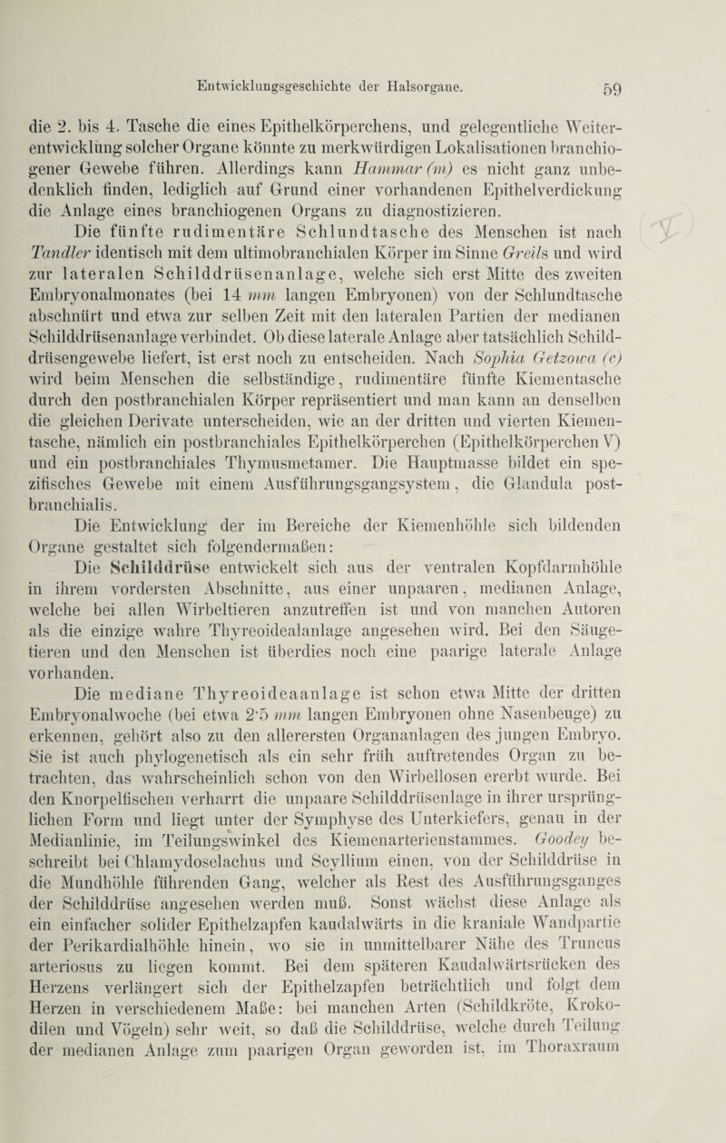 die 2. bis 4. Tasche die eines Epithelkörperchens, und gelegentliche Weiter¬ entwicklung solcher Organe könnte zu merkwürdigen Lokalisationen branchio- gener Gewebe führen. Allerdings kann Hammar (m) es nicht ganz unbe¬ denklich linden, lediglich auf Grund einer vorhandenen Epithelverdickung die Anlage eines branchiogenen Organs zu diagnostizieren. Die fünfte rudimentäre Schlundtasche des Menschen ist nach Tandler identisch mit dem ultimobranchialen Körper im Sinne Greils und wird zur lateralen Schilddrüsenanlage, welche sich erst Mitte des zweiten Embryonalmonates (bei 14 mm langen Embryonen) von der Schlundtasche abschnürt und etwa zur selben Zeit mit den lateralen Partien der medianen Schilddrüsenanlage verbindet. Ob diese laterale Anlage aber tatsächlich Schild¬ drüsengewebe liefert, ist erst noch zu entscheiden. Nach Sophia Getzowa (c) wird beim Menschen die selbständige, rudimentäre fünfte Kiementasche durch den postbranchialen Körper repräsentiert und man kann an denselben die gleichen Derivate unterscheiden, wie an der dritten und vierten Kiemen¬ tasche, nämlich ein postbranchiales Epithelkörperchen (Epithelkörperchen V) und ein postbranchiales Thymusmetamer. Die Hauptmasse bildet ein spe¬ zifisches Gewebe mit einem Ausführungsgangsystem, die Glandula post- branchialis. Die Entwicklung der im Bereiche der Kiemenhöhle sich bildenden Organe gestaltet sich folgendermaßen: Die Schilddrüse entwickelt sich aus der ventralen Kopfdarmhöhle in ihrem vordersten Abschnitte, aus einer unpaaren, medianen Anlage, welche bei allen Wirbeltieren anzutreffen ist und von manchen Autoren als die einzige wahre Thyreoidealanlage angesehen wird. Bei den Säuge¬ tieren und den Menschen ist überdies noch eine paarige laterale Anlage vorhanden. Die mediane Thyreoideaanlage ist schon etwa Mitte der dritten Embryonalwoche (bei etwa 2*5 mm langen Embryonen ohne Nasenbeuge) zu erkennen, gehört also zu den allerersten Organanlagen des jungen Embryo. Sie ist auch phylogenetisch als ein sehr früh auftretendes Organ zu be¬ trachten, das wahrscheinlich schon von den Wirbellosen ererbt wurde. Bei den Knorpelfischen verharrt die unpaare Schilddrüsenlage in ihrer ursprüng¬ lichen Form und liegt unter der Symphyse des Unterkiefers, genau in der Medianlinie, im Teilungswinkel des Kiemenarterienstammes. Goodey be¬ schreibt bei Chlamydoselachus und Scyllium einen, von der Schilddrüse in die Mundhöhle führenden Gang, welcher als Rest des Ausführungsganges der Schilddrüse angesehen werden muß. Sonst wächst diese Anlage als ein einfacher solider Epithelzapfen kaudalwärts in die kraniale Wandpartie der Perikardialhöhle hinein, wo sie in unmittelbarer Nähe des Truncus arteriosus zu liegen kommt. Bei dem späteren Kaudalwärtsrücken des Herzens verlängert sich der Epithelzapfen beträchtlich und folgt dem Herzen in verschiedenem Maße: bei manchen Arten (Schildkröte, Kroko¬ dilen und Vögeln) sehr weit, so daß die Schilddrüse, welche durch Teilung der medianen Anlage zum paarigen Organ geworden ist, im Ihoraxraum