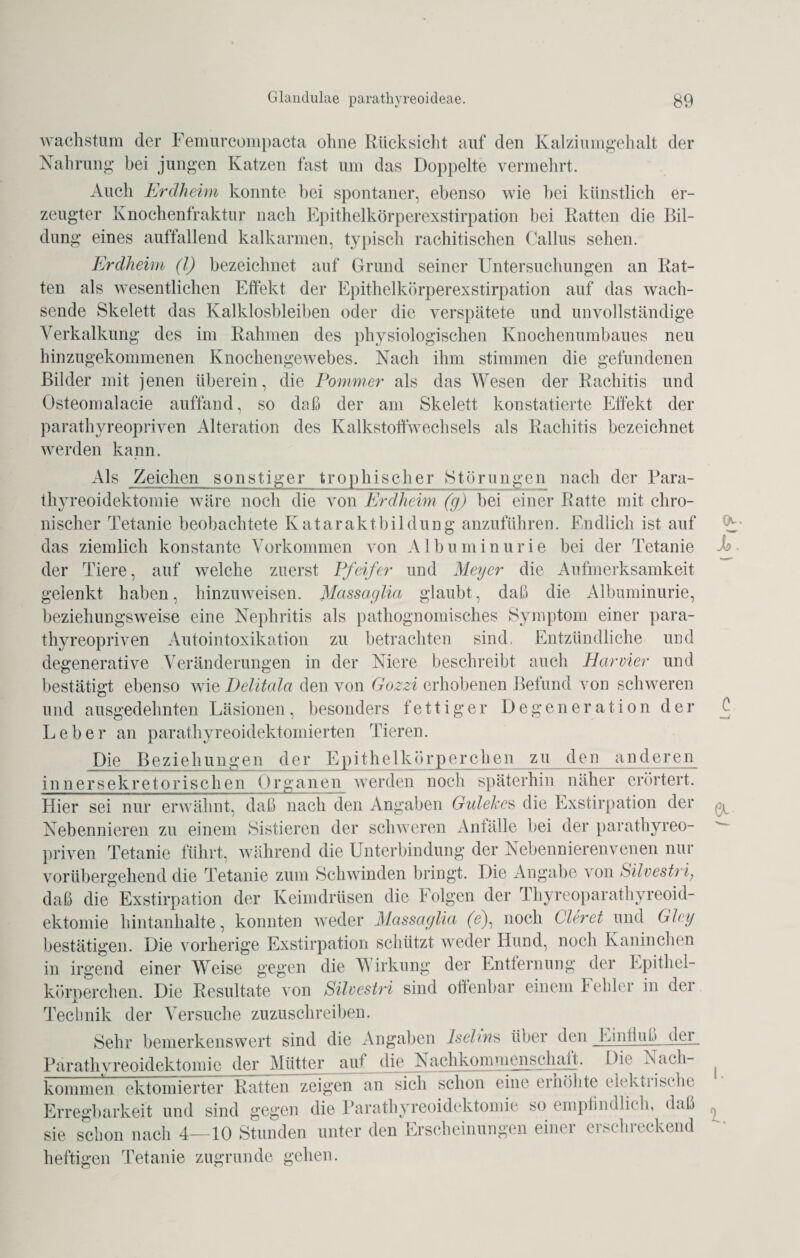 Wachstum der Femurcompacta ohne Rücksicht auf den Kalziumgehalt der Nahrung bei jungen Katzen fast um das Doppelte vermehrt. Auch Erdheim konnte bei spontaner, ebenso wie bei künstlich er¬ zeugter Knochenfraktur nach Epithelkörperexstirpation bei Ratten die Bil¬ dung eines auffallend kalkarmen, typisch rachitischen Gallus sehen. Erdheim (1) bezeichnet auf Grund seiner Untersuchungen an Rat¬ ten als wesentlichen Effekt der Epithelkörperexstirpation auf das wach¬ sende Skelett das Kalklosbleiben oder die verspätete und unvollständige Verkalkung des im Rahmen des physiologischen Knochenumbaues neu hinzugekommenen Knochengewebes. Nach ihm stimmen die gefundenen Bilder mit jenen überein, die Pommer als das Wesen der Rachitis und Osteomalaeie auffand, so daß der am Skelett konstatierte Effekt der parathyreopriven Alteration des Kalkstoffwechsels als Rachitis bezeichnet werden kann. Als Zeichen sonstiger trophischer Störungen nach der Para- thyreoidektomie wäre noch die von Erdheim (g) hei einer Ratte mit chro¬ nischer Tetanie beobachtete Kataraktbildung anzuführen. Endlich ist auf das ziemlich konstante Vorkommen von Albuminurie bei der Tetanie der Tiere, auf welche zuerst Pfeifer und Meyer die Aufmerksamkeit gelenkt haben, hinzuweisen. Massaglia glaubt, daß die Albuminurie, beziehungsweise eine Nephritis als pathognomisches Symptom einer para¬ thyreopriven Autointoxikation zu betrachten sind, Entzündliche und degenerative Veränderungen in der Niere beschreibt auch Har vier und bestätigt ebenso wie Delitala den von Gozzi erhobenen Befund von schweren und ausgedehnten Läsionen, besonders fettiger Degeneration der Leber an parathyreoidektomierten Tieren. J)ie_ Beziehungen der Epithelkörperchen zu den anderen innersekretorisclien Organen werden noch späterhin näher erörtert. Hier sei nur erwähnt, daß nach den Angaben Gidekcs die Exstirpation der Nebennieren zu einem Sistieren der schweren Anfälle bei der parathyreo¬ priven Tetanie führt, während die Unterbindung der Nebennierenvenen nur vorübergehend die Tetanie zum Schwinden bringt. Die Angabe von Silvestri} daß die Exstirpation der Keimdrüsen die Folgen der Thyreoparathyreoid- ektomie hintanhalte, konnten wreder Massaglia (e), noch Gieret und Gley bestätigen. Die vorherige Exstirpation schützt weder Hund, noch Kaninchen in irgend einer Weise gegen die Wirkung der Entfernung der Epithel¬ körperchen. Die Resultate von Silvestri sind offenbar einem Fehler in der Technik der Versuche zuzuschreiben. Sehr bemerkenswert sind die Angaben Isehns über den Einfluß dci Parathvreoidektomic der Mütter auf die Nachkommenschaft. Die Nach¬ kommen ektomierter Ratten zeigen an sich schon eine erhöhte elektrische Erregbarkeit und sind gegen die Parathyreoidcktomie so empfindlich, daß sie schon nach 4—10 Stunden unter den Erscheinungen einer erschreckend heftigen Tetanie zugrunde gehen. C a I. I.