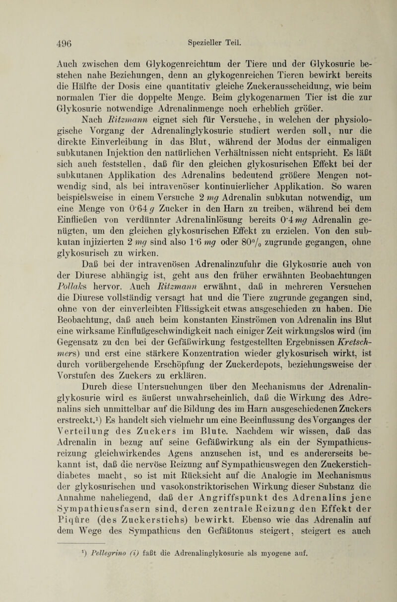 Auch zwischen dem Glykogenreichtum der Tiere und der Glykosurie be¬ stehen nahe Beziehungen, denn an glykogenreichen Tieren bewirkt bereits die Hälfte der Dosis eine quantitativ gleiche Zuckerausscheidung, wie beim normalen Tier die doppelte Menge. Beim glykogenarmen Tier ist die zur Glykosurie notwendige Adrenalinmenge noch erheblich größer. Nach Ritzmann eignet sich für Versuche, in welchen der physiolo¬ gische Vorgang der Adrenalinglykosurie studiert werden soll, nur die direkte Einverleibung in das Blut, während der Modus der einmaligen subkutanen Injektion den natürlichen Verhältnissen nicht entspricht. Es läßt sich auch feststellen, daß für den gleichen glykosurischen Effekt bei der subkutanen Applikation des Adrenalins bedeutend größere Mengen not¬ wendig sind, als bei intravenöser kontinuierlicher Applikation. So waren beispielsweise in einem Versuche 2 mg Adrenalin subkutan notwendig, um eine Menge von 0*64 Zucker in den Harn zu treiben, während bei dem Einfließen von verdünnter Adrenalinlösung bereits 0*4 mg Adrenalin ge¬ nügten, um den gleichen glykosurischen Effekt zu erzielen. Von den sub¬ kutan injizierten 2 mg sind also 1*6 mg oder 80% zugrunde gegangen, ohne glykosurisch zu wirken. Daß bei der intravenösen Adrenalinzufuhr die Glykosurie auch von der Diurese abhängig ist, geht aus den früher erwähnten Beobachtungen Pollaks hervor. Auch Ritzmann erwähnt, daß in mehreren Versuchen die Diurese vollständig versagt hat und die Tiere zugrunde gegangen sind, ohne von der einverleibten Flüssigkeit etwas ausgeschieden zu haben. Die Beobachtung, daß auch beim konstanten Einströmen von Adrenalin ins Blut eine wirksame Einflußgeschwindigkeit nach einiger Zeit wirkungslos wird (im Gegensatz zu den bei der Gefäßwirkung festgestellten Ergebnissen Kretsch¬ mers) und erst eine stärkere Konzentration wieder glykosurisch wirkt, ist durch vorübergehende Erschöpfung der Zuckerdepots, beziehungsweise der Vorstufen des Zuckers zu erklären. Durch diese Untersuchungen über den Mechanismus der Adrenalin¬ glykosurie wird es äußerst unwahrscheinlich, daß die Wirkung des Adre¬ nalins sich unmittelbar auf die Bildung des im Harn ausgeschiedenen Zuckers erstreckt.1) Es handelt sich vielmehr um eine Beeinflussung des Vorganges der Verteilung des Zuckers im Blute. Nachdem wir wissen, daß das Adrenalin in bezug auf seine Gefäßwirkung als ein der Sympathicus- reizung gleichwirkendes Agens anzusehen ist, und es andererseits be¬ kannt ist, daß die nervöse Reizung auf Sympathicuswegen den Zuckerstich¬ diabetes macht, so ist mit Rücksicht auf die Analogie im Mechanismus der glykosurischen und vasokonstriktorischen Wirkung dieser Substanz die Annahme naheliegend, daß der Angriffspunkt des Adrenalins jene Sympathicusfasern sind, deren zentrale Reizung den Effekt der Piqüre (des Zuckerstichs) bewirkt. Ebenso wie das Adrenalin auf dem Wege des Sympathicus den Gefäßtonus steigert, steigert es auch 1) Pellegrino (i) faßt die Adrenalinglykosurie als myogene auf.