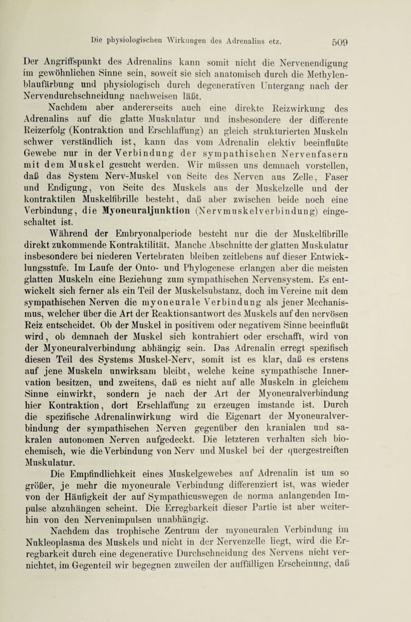 Der Angriffspunkt des Adrenalins kann somit nicht die Nervenendigung im gewöhnlichen Sinne sein, soweit sie sich anatomisch durch die Methylen¬ blaufärbung und physiologisch durch degenerativen Untergang nach der Nervendurchschneidung nachweisen läßt. Nachdem aber andererseits auch eine direkte Reiz Wirkung des Adrenalins auf die glatte Muskulatur und insbesondere der differente Reizerfolg (Kontraktion und Erschlaffung) an gleich strukturierten Muskeln schwer verständlich ist, kann das vom Adrenalin elektiv beeinflußte Gewebe nur in der Verbindung der sympathischen Nervenfasern mit dem Muskel gesucht werden. Wir müssen uns demnach vorstellen, daß das System Nerv-Muskel von Seite des Nerven aus Zelle, Faser und Endigung, von Seite des Muskels aus der Muskelzelle und der kontraktilen Muskelfibrille besteht, daß aber zwischen beide noch eine Verbindung, die Myoneuraljunktion (Nervmuskelverbindung) einge¬ schaltet ist. Während der Embryonalperiode besteht nur die der Muskelfibrille direkt zukommende Kontraktilität. Manche Abschnitte der glatten Muskulatur insbesondere bei niederen Vertebraten bleiben zeitlebens auf dieser Entwick¬ lungsstufe. Im Laufe der Onto- und Phylogenese erlangen aber die meisten glatten Muskeln eine Beziehung zum sympathischen Nervensystem. Es ent¬ wickelt sich ferner als ein Teil der Muskelsubstanz, doch im Vereine mit dem sympathischen Nerven die myoneurale Verbindung als jener Mechanis¬ mus, welcher über die Art der Reaktionsantwort des Muskels auf den nervösen Reiz entscheidet. Ob der Muskel in positivem oder negativem Sinne beeinflußt wird, ob demnach der Muskel sich kontrahiert oder erschafft, wird von der Myoneuralverbindung abhängig sein. Das Adrenalin erregt spezifisch diesen Teil des Systems Muskel-Nerv, somit ist es klar, daß es erstens auf jene Muskeln unwirksam bleibt, welche keine sympathische Inner¬ vation besitzen, und zweitens, daß es nicht auf alle Muskeln in gleichem Sinne einwirkt, sondern je nach der Art der Myoneuralverbindung hier Kontraktion, dort Erschlaffung zu erzeugen imstande ist. Durch die spezifische Adrenalinwirkung wird die Eigenart der Myoneuralver¬ bindung der sympathischen Nerven gegenüber den kranialen und sa¬ kralen autonomen Nerven aufgedeckt. Die letzteren verhalten sich bio¬ chemisch, wie die Verbindung von Nerv und Muskel bei der quergestreiften Muskulatur. Die Empfindlichkeit eines Muskelgewebes auf Adrenalin ist um so größer, je mehr die myoneurale Verbindung differenziert ist, was wieder von der Häufigkeit der auf Sympathicuswegen de norma anlangenden Im¬ pulse abzuhängen scheint. Die Erregbarkeit dieser Partie ist aber weiter¬ hin von den Nervenimpulsen unabhängig. Nachdem das trophische Zentrum der myoneuralen Verbindung im Nukleoplasma des Muskels und nicht in der Nervenzelle liegt, wird die Er¬ regbarkeit durch eine degenerative Durchschneidung des Nervens nicht ver¬ nichtet, im Gegenteil wir begegnen zuweilen der auffälligen Erscheinung, daß