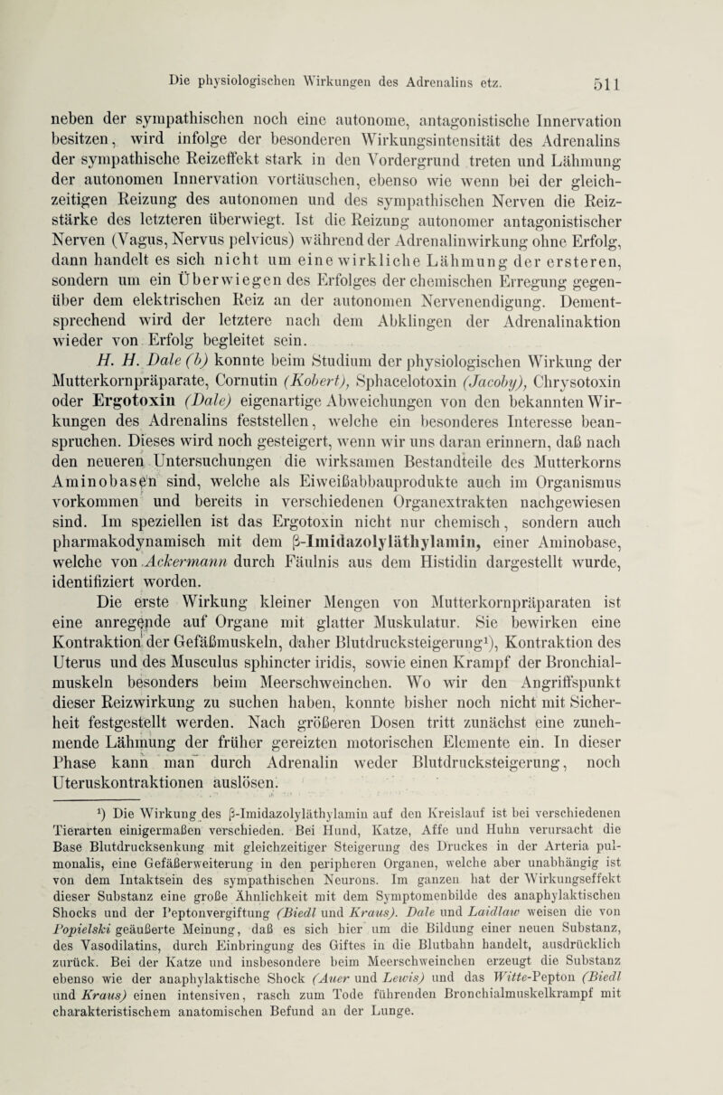 neben der sympathischen noch eine autonome, antagonistische Innervation besitzen, wird infolge der besonderen Wirkungsintensität des Adrenalins der sympathische Reizeffekt stark in den Vordergrund treten und Lähmung der autonomen Innervation Vortäuschen, ebenso wie wenn bei der gleich¬ zeitigen Reizung des autonomen und des sympathischen Nerven die Reiz¬ stärke des letzteren überwiegt. Ist die Reizuüg autonomer antagonistischer Nerven (Vagus, Nervus pelvicus) während der Adrenalinwirkung ohne Erfolg, dann handelt es sich nicht um eine wirkliche Lähmung der ersteren, sondern um ein Überwiegen des Erfolges der chemischen Erregung gegen¬ über dem elektrischen Reiz an der autonomen Nervenendigung. Dement¬ sprechend wird der letztere nach dem Abklingen der Adrenalinaktion wieder von Erfolg begleitet sein. H. H. Dale (b) konnte beim Studium der physiologischen Wirkung der Mutterkornpräparate, Cornutin (Robert), Sphacelotoxin (Jacobij), Chrysotoxin oder Ergotoxin (Dale) eigenartige Abweichungen von den bekannten Wir¬ kungen des Adrenalins feststellen, welche ein besonderes Interesse bean¬ spruchen. Dieses wird noch gesteigert, wenn wir uns daran erinnern, daß nach den neueren Untersuchungen die wirksamen Bestandteile des Mutterkorns Aminobas^n sind, welche als Eiweißabbauprodukte auch im Organismus Vorkommen und bereits in verschiedenen Organextrakten nachgewiesen sind. Im speziellen ist das Ergotoxin nicht nur chemisch, sondern auch pharmakodynamisch mit dem ß-Imidazolyläthylamin, einer Aminobase, welche von Ackermann durch Fäulnis aus dem Histidin dargestellt wurde, identifiziert worden. Die erste Wirkung kleiner Mengen von Mutterkornpräparaten ist eine anreg^pde auf Organe mit glatter Muskulatur. Sie bewirken eine Kontraktion' der Gefäßmuskeln, daher Blutdrucksteigerung1), Kontraktion des Uterus und des Musculus sphincter iridis, sowie einen Krampf der Bronchial¬ muskeln besonders beim Meerschweinchen. Wo wir den Angriffspunkt dieser Reizwirkung zu suchen haben, konnte bisher noch nicht mit Sicher¬ heit festgesfellt werden. Nach größeren Dosen tritt zunächst eine zuneh¬ mende Lähmung der früher gereizten motorischen Elemente ein. In dieser Phase kann man durch Adrenalin weder Blutdrucksteigerung, noch Uteruskontraktionen auslösen. *) Die Wirkung des ß-Imidazolyläthylamin auf den Kreislauf ist bei verschiedenen Tierarten einigermaßen verschieden. Bei Hund, Katze, Affe und Huhn verursacht die Base Blutdrucksenkung mit gleichzeitiger Steigerung des Druckes in der Arteria pul- monalis, eine Gefäßerweiterung in den peripheren Organen, welche aber unabhängig ist von dem Intaktsein des sympathischen Neurons. Im ganzen hat der Wirkungseffekt dieser Substanz eine große Ähnlichkeit mit dem Symptomenbilde des anaphylaktischen Shocks und der Peptonvergiftung (Biedl und Kraus). Dale und Laidlaiv weisen die von Popielski geäußerte Meinung, daß es sich hier um die Bildung einer neuen Substanz, des Vasodilatins, durch Einbringung des Giftes in die Blutbahn handelt, ausdrücklich zurück. Bei der Katze und insbesondere beim Meerschweinchen erzeugt die Substanz ebenso wie der anaphylaktische Shock (Auer und Lewis) und das Witte-Peptön (Biedl und Kraus) einen intensiven, rasch zum Tode führenden Bronchialmuskelkrampf mit charakteristischem anatomischen Befund an der Lunge.