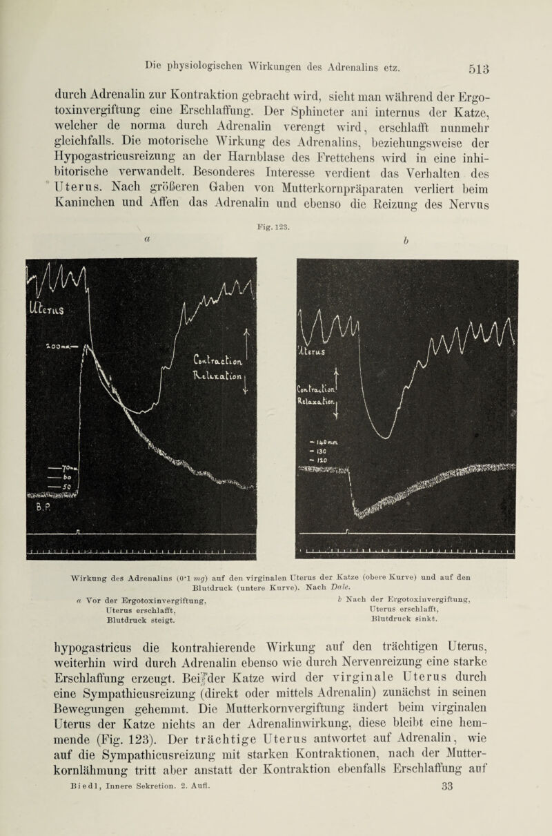 durch Adrenalin zur Kontraktion gebracht wird, sieht man während der Ergo¬ toxinvergiftung eine Erschlaffung. Der Sphincter ani internus der Katze, welcher de norma durch Adrenalin verengt wird, erschlafft nunmehr gleichfalls. Die motorische Wirkung des Adrenalins, beziehungsweise der Hypogastricusreizung an der Harnblase des Frettchens wird in eine inhi- bitorische verwandelt. Besonderes Interesse verdient das Verhalten des Uterus. Nach größeren Gaben von Mutterkornpräparaten verliert beim Kaninchen und Allen das Adrenalin und ebenso die Reizung des Nervus Fig.123. a & Wirkung des Adrenalins (O'l mg) auf den virginalen Uterus der Katze (obere Kurve) und auf den Blutdruck (untere Kurve). Nach Dole. a Vor der Ergotoxinvergiftung, £ Nach der Ergotoxinvergiftung, Uterus erschlafft, Uterus erschlafft, Blutdruck steigt. Blutdruck sinkt. hypogastricus die kontrahierende Wirkung auf den trächtigen Uterus, weiterhin wird durch Adrenalin ebenso wie durch Nervenreizung eine starke Erschlaffung erzeugt. Bei-der Katze wird der virginale Uterus durch eine Sympathicusreizung (direkt oder mittels Adrenalin) zunächst in seinen Bewegungen gehemmt. Die Mutterkornvergiftung ändert beim virginalen Uterus der Katze nichts an der Adrenalinwirkung, diese bleibt eine hem¬ mende (Fig. 123). Der trächtige Uterus antwortet auf Adrenalin, wie auf die Sympathicusreizung mit starken Kontraktionen, nach der Mutter¬ kornlähmung tritt aber anstatt der Kontraktion ebenfalls Erschlaffung aut Biedl, Innere Sekretion. 2. Aufl. 33