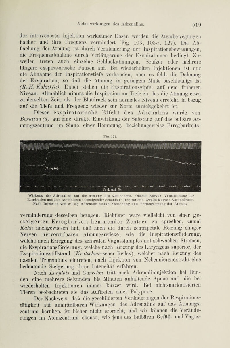 der intravenösen Injektion wirksamer Dosen werden die Atembewegungen flacher und ihre Frequenz vermindert (Fig. 103, 103a, 127). Die Ab¬ flachung der Atmung ist durch Verkleinerung der Inspirationsbewegungen, die Frequenzabnahme durch Verlängerung der Exspirationen bedingt. Zu¬ weilen treten auch einzelne Schluckatmungen, Seufzer oder mehrere längere exspiratorische Pausen auf. Bei wiederholten Injektionen ist nur die Abnahme der Inspirationstiefe vorhanden, aber es fehlt die Dehnung der Exspiration, so daß die Atmung in geringem Maße beschleunigt ist (JR. H. Kahn) (a). Dabei stehen die Exspirationsgipfel auf dem früheren Niveau. Allmählich nimmt die Inspiration an Tiefe zu, bis die Atmung etwa zu derselben Zeit, als der Blutdruck sein normales Niveau erreicht, in bezug auf die Tiefe und Frequenz wieder zur Norm zurückgekehrt ist. Dieser exspiratorische Effekt des Adrenalins wurde von Boruttau (a) auf eine direkte Einwirkung der Substanz auf das bulbäre At¬ mungszentrum im Sinne einer Hemmung, beziehungsweise Erregbarkeits- Fis?.127. Wirkung des Adrenalins auf die Atmung des Kaninchens. Oberste Kurve: Verzeichnung der Respiration aus dem Atemkasten (absteigender Schenkel: Inspiration). Zweite Kurve : Karotisdruck. Kach Injektion von 0'1 mg Adrenalin starke Abflachung und Verlangsamung der Atmung. Verminderung desselben bezogen. Richtiger wäre vielleicht von einer ge¬ steigerten Erregbarkeit hemmender Zentren zu sprechen, zumal Kahn nachgewiesen hat, daß auch die durch zentripetale Reizung einiger Nerven hervorrufbaren Atmungsreflexe, wie die Inspirationsförderung, welche nach Erregung des zentralen Vagusstumpfes mit schwachen Strömen, die Exspirationsförderung, welche nach Reizung des Laryngeus superior, der Exspirationsstillstand (Kratschmerscher Reflex), welcher nach Reizung des nasalen Trigeminus eintreten. nach Injektion von Nebennierenextrakt eine bedeutende Steigerung ihrer Intensität erfahren. Nach Langlois und Garrelon tritt nach Adrenalininjektion bei Hun¬ den eine mehrere Sekunden bis Minuten anhaltende Apnoe auf, die bei wiederholten Injektionen immer kürzer wird. Bei nicht-narkotisierten Tieren beobachteten sie das Auftreten einer Polypnoe. Der Nachweis, daß die geschilderten Veränderungen der Respirations¬ tätigkeit auf unmittelbaren Wirkungen des Adrenalins auf das Atmungs¬ zentrum beruhen, ist bisher nicht erbracht, und wir können die \ erände- rungen im Atemzentrum ebenso, wie jene des bulbären Clefäß- und I agus-