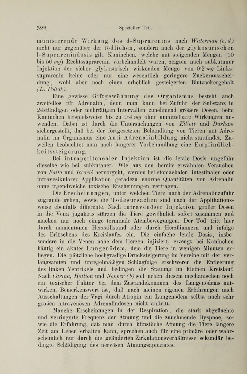 munisierende Wirkung des d-Suprarenins nach Waterman (c, cl) nicht nur gegenüber der tödlichen, sondern auch der glykosurischen 1-Suprarenindosis gilt. Kaninchen, welche mit steigenden Mengen (10 bis 50 mg) Rechtssuprarenin vorbehandelt waren, zeigten nach subkutaner Injektion der sicher glykosurisch wirkenden Menge von 0'2 mg Links- suprarenin keine oder nur eine wesentlich geringere Zuckerausschei¬ dung , wohl aber noch einen erheblich gesteigerten Blutzuckergehalt (L. Pollak). Eine gewisse Giftgewöhnung des Organismus besteht auch zweifellos für Adrenalin, denn man kann bei Zufuhr der Substanz in 24stündigen oder mehrtätigen Intervallen zunehmend größere Dosen, beim Kaninchen beispielsweise bis zu 0‘4 mg ohne unmittelbare Wirkungen an¬ wenden. Dabei ist durch die Untersuchungen von Elliott und Durham sichergestellt, daß bei der fortgesetzten Behandlung von Tieren mit Adre¬ nalin im Organismus eine Anti-Adrenalinbildung nicht stattfindet. Zu¬ weilen beobachtet man nach längerer Vorbehandlung eine Empfindlich¬ keitssteigerung. Bei intraperitonealer Injektion ist die letale Dosis ungefähr dieselbe wie bei subkutaner. Wie aus den bereits erwähnten Versuchen von Falta und Ivcovic hervorgeht, werden bei stomachaler, intestinaler oder intravesikularer Applikation geradezu enorme Quantitäten von Adrenalin ohne irgendwelche toxische Erscheinungen vertragen. Die Erscheinungen, unter welchen Tiere nach der Adrenalinzufuhr zugrunde gehen, sowie die Todesursachen sind nach der Applikations¬ weise ebenfalls differente. Nach intravenöser Injektion großer Dosen in die Vena jugularis stürzen die Tiere gewöhnlich sofort zusammen und machen nur noch einige terminale Atembewegungen. Der Tod tritt hier durch momentanen Herzstillstand oder durch ’Herzflimmern und infolge des Erlöschens des Kreislaufes ein. Die einfache letale Dosis, insbe¬ sondere in die Venen nahe dem Herzen injiziert, erzeugt bei Kaninchen häuiig ein akutes Lungenödem, dem die Tiere in wenigen Minuten er¬ liegen. Die plötzliche hochgradige Drucksteigerung im Vereine mit der ver¬ langsamten und unregelmäßigen Schlagfolge erschweren die Entleerung des linken Ventrikels und bedingen die Stauung im kleinen Kreislauf. Nach Carina} Hallion und Nepper (b) soll neben diesem mechanischen noch ein toxischer Faktor bei dem Zustandekommen des Lungenödems mit- wirken. Bemerkenswert ist, daß nach meinen eigenen Erfahrungen nach Ausschaltungen der Vagi durch Atropin ein Lungenödem selbst nach sehr großen intravenösen Adrenalindosen nicht auftritt. Manche Erscheinungen in der Respiration, die stark abgeflachte und verringerte Frequenz der Atmung und die zunehmende Dyspnoe, so¬ wie die Erfahrung, daß man durch künstliche Atmung die Tiere längere Zeit am Leben erhalten kann, sprechen auch für eine primäre oder wahr¬ scheinlich nur durch die geänderten Zirkulationsverhältnisse sekundär be¬ dingte Schädigung des nervösen Atmungsapparates.