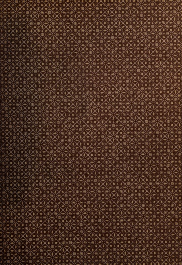 digitised image 3