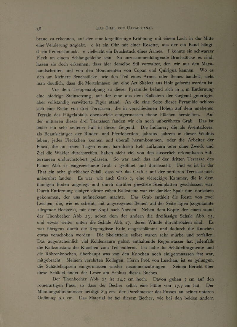 braue zu erkennen, auf der eine kegelförmige Erhöhung mit einem Loch in der Mitte eine Verzierung angiebt. c ist ein Ohr mit einer Rosette, aus der ein Band hängt, d ein Federschmuck, e vielleicht ein Bruchstück eines Armes, f könnte ein schwarzer Fleck an einem Schlangenleibe sein. So unzusammenhängende Bruchstücke es sind, lassen sie doch erkennen, dass hier derselbe Stil vorwaltet, den wir aus den Maya¬ handschriften und von den Monumenten von Copan und Quirigua kennen. Wo es sich um kleinere Bruchstücke, wie den Teil eines Armes oder Beines handelt, sieht man deutlich, dass die Mörtelmasse um eine Art Skelett aus Holz geformt worden ist. Vor dem Treppenaufgang zu dieser Pyramide befand sich in 4 m Entfernung eine niedrige Steinsetzung, auf der eine aus dem Kalkstein der Gegend gefertigte, aber vollständig verwitterte Figur stand. An die eine Seite dieser Pyramide schloss sich eine Reihe von drei Terrassen, die in verschiedenen Höhen auf dem unebenen Terrain des Hügelabfalls ebensoviele einigermassen ebene Flächen herstellten. Auf der mittleren dieser drei Terrassen fanden wir ein noch unberührtes Grab. Das ist leider ein sehr seltener Fall in dieser Gegend. Die Indianer, die als Aventadores, als Beaufsichtiger der Rinder- und Pferdeherden, jahraus, jahrein in dieser Wildnis leben, jedes Fleckchen kennen und überall herumkommen, oder die Arbeiter der Finca, die an freien Tagen einem harmlosen Reh auflauern oder ohne Zweck und Ziel die Wälder durchstreifen, haben nicht viel von den äusserlich erkennbaren Sub- terraneen undurchstöbert gelassen. So war auch das auf der dritten Terrasse des Planes Abb. 21 eingezeichnete Grab 2 geöffnet und durchsucht. Und es ist in der That ein sehr glücklicher Zufall, dass wir das Grab 1 auf der mittleren Terrasse noch unberührt fanden. Es war, wie auch Grab 2, eine viereckige Kammer, die in dem thonigen Boden angelegt und durch darüber gewälzte Steinplatten geschlossen war. Durch Entfernung einiger dieser rohen Kalksteine war ein dunkler Spalt zum Vorschein gekommen, der uns aufmerksam machte. Das Grab enthielt die Reste von zwei Leichen, die, wie es scheint, mit angezogenen Beinen auf der Seite lagen (sogenannte »liegende Hocker«), mit dem Kopf nach Norden. Neben dem Kopfe der einen stand der Thonbecher Abb. 23, neben dem der andern die dreifüssige Schale Abb. 25, und etwas weiter unten die Schale Abb. 27, deren Wände durchbrochen sind. Es war übrigens durch die Regengüsse Erde eingeschlämmt und dadurch die Knochen etwas verschoben worden. Die Skelettteile selbst waren sehr mürbe und zerfallen. Das augenscheinlich viel Kohlensäure gelöst enthaltende Regenwasser hat jedenfalls die Kalksubstanz der Knochen zum Teil entfernt. Ich habe die Schädelfragmente und die Röhrenknochen, überhaupt was von den Knochen noch einigermaassen fest war, mitgebracht. Meinem verehrten Kollegen, Herrn Prof, von Luschan, ist es gelungen, die Schädelkapseln einigermassen wieder zusammenzubringen. Seinen Bericht über diese Schädel findet der Leser am Schluss dieses Buches. Der Thonbecher Abb. 23 ist 24,7 cm hoch. Davon gehen 7 cm auf den römerartigen Fuss, so dass der Becher selbst eine Höhe von 17,7 cm hat. Der Mündungsdurchmesser beträgt 8,5 cm ; der Durchmesser des Fusses an seiner unteren Oeffnung 9,5 cm. Das Material ist bei diesem Becher, wie bei den beiden andern