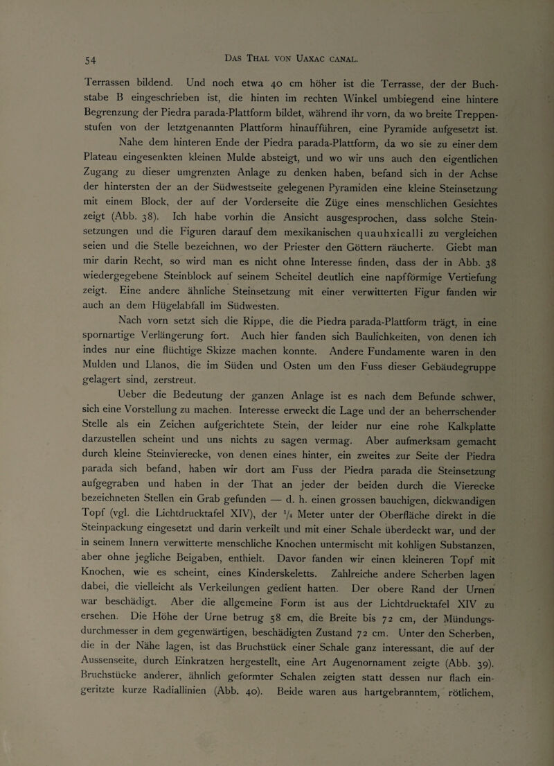 Terrassen bildend. Und noch etwa 40 cm höher ist die Terrasse, der der Buch¬ stabe B eingeschrieben ist, die hinten im rechten Winkel umbiegend eine hintere Begrenzung der Piedra parada-Plattform bildet, während ihr vorn, da wo breite Treppen¬ stufen von der letztgenannten Plattform hinaufführen, eine Pyramide aufgesetzt ist. Nahe dem hinteren Ende der Piedra parada-Plattform, da wo sie zu einer dem Plateau eingesenkten kleinen Mulde absteigt, und wo wir uns auch den eigentlichen Zugang zu dieser umgrenzten Anlage zu denken haben, befand sich in der Achse der hintersten der an der Südwestseite gelegenen Pyramiden eine kleine Steinsetzung mit einem Block, der auf der Vorderseite die Züge eines menschlichen Gesichtes zeigt (Abb. 38). Ich habe vorhin die Ansicht ausgesprochen, dass solche Stein¬ setzungen und die Figuren darauf dem mexikanischen quauhxicalli zu vergleichen seien und die Stelle bezeichnen, wo der Priester den Göttern räucherte. Giebt man mir darin Recht, so wird man es nicht ohne Interesse finden, dass der in Abb. 38 wiedergegebene Steinblock auf seinem Scheitel deutlich eine napfförmige Vertiefung zeigt. Eine andere ähnliche Steinsetzung mit einer verwitterten Figur fanden wir auch an dem Hügelabfall im Südwesten. Nach vorn setzt sich die Rippe, die die Piedra parada-Plattform trägt, in eine spornartige Verlängerung fort. Auch hier fanden sich Baulichkeiten, von denen ich indes nur eine flüchtige Skizze machen konnte. Andere Fundamente waren in den Mulden und Llanos, die im Süden und Osten um den Fuss dieser Gebäudegruppe gelagert sind, zerstreut. Ueber die Bedeutung der ganzen Anlage ist es nach dem Befunde schwer, sich eine Vorstellung zu machen. Interesse erweckt die Lage und der an beherrschender Stelle als ein Zeichen aufgerichtete Stein, der leider nur eine rohe Kalkplatte darzustellen scheint und uns nichts zu sagen vermag. Aber aufmerksam gemacht durch kleine Steinvierecke, von denen eines hinter, ein zweites zur Seite der Piedra parada sich befand, haben wir dort am Fuss der Piedra parada die Steinsetzung aufgegraben und haben in der That an jeder der beiden durch die Vierecke bezeichneten Stellen ein Grab gefunden — d. h. einen grossen bauchigen, dickwandigen Topf (vgl. die Lichtdrucktafel XIV), der V* Meter unter der Oberfläche direkt in die Steinpackung eingesetzt und darin verkeilt und mit einer Schale überdeckt war, und der in seinem Innern verwitterte menschliche Knochen untermischt mit kohligen Substanzen, aber ohne jegliche Beigaben, enthielt. Davor fanden wir einen kleineren Topf mit Knochen, wie es scheint, eines Kinderskeletts. Zahlreiche andere Scherben lagen dabei, die vielleicht als Verkeilungen gedient hatten. Der obere Rand der Urnen war beschädigt. Aber die allgemeine Form ist aus der Lichtdrucktafel XIV zu ersehen. Die Höhe der Urne betrug 58 cm, die Breite bis 72 cm, der Mündungs¬ durchmesser in dem gegenwärtigen, beschädigten Zustand 72 cm. Unter den Scherben, die in der Nähe lagen, ist das Bruchstück einer Schale ganz interessant, die auf der Aussenseite, durch Einkratzen hergestellt, eine Art Augenornament zeigte (Abb. 39). Bruchstücke anderer, ähnlich geformter Schalen zeigten statt dessen nur flach ein¬ geritzte kurze Radiallinien (Abb. 40). Beide waren aus hartgebranntem, rötlichem,