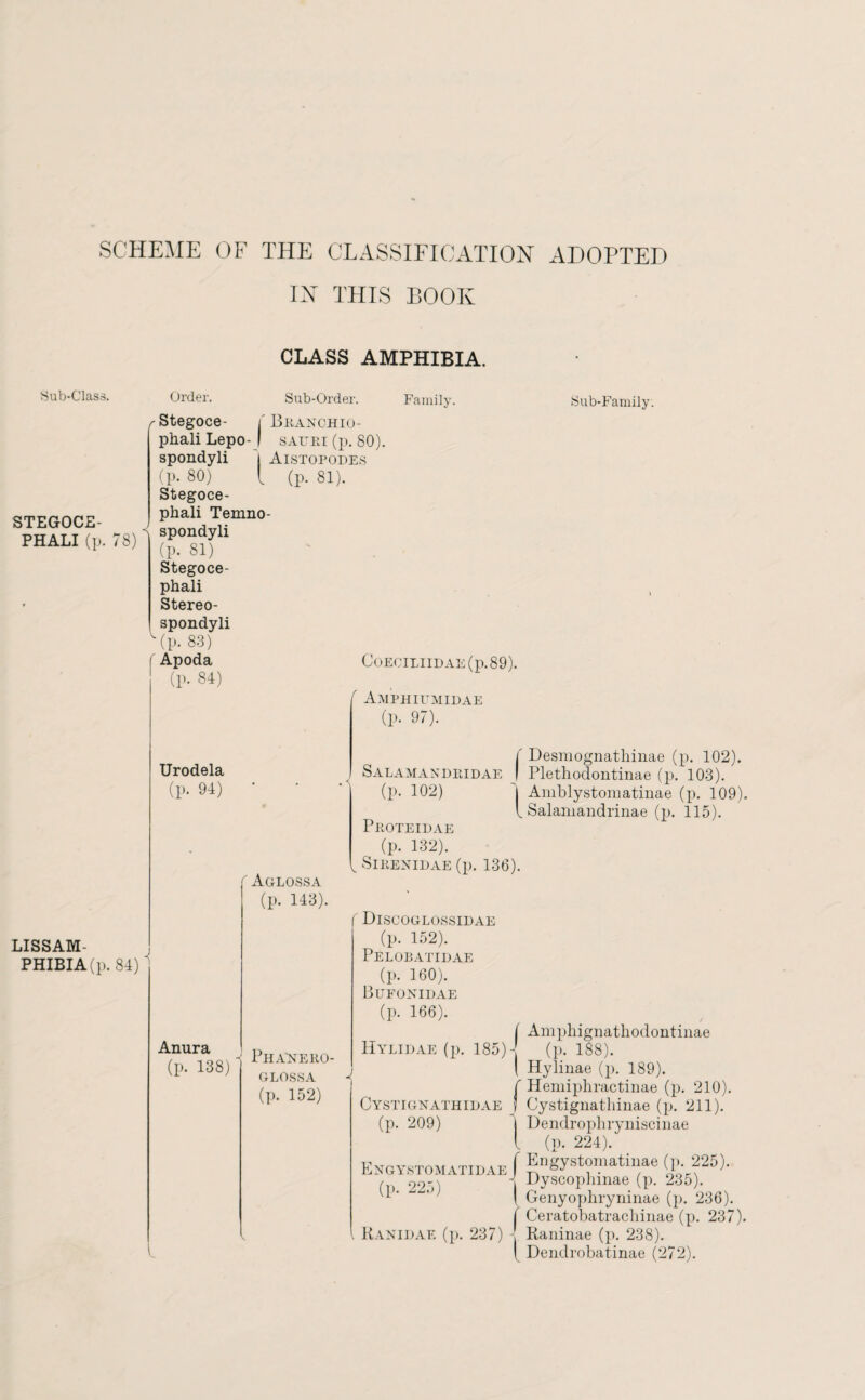 SCHEME OF THE GLASSIFICATION ADOPTED Sub-Class. STEGOCE- PHALI (p. LISSAM- PHIBIA(p IN THIS BOOK CLASS AMPHIBIA. 78) Order. Sub-Order. yStegoce- Beanchio- phali Lepo- I sauri (p. 80). spondyli i Aistopodes (p. 80) [ (p. 81). Stegoce- phali Temno- spondyli (P- 81) Stegoce- phali Stereo- spondyli (P- 83) f Apoda (p. 84) Family. Sub-Family. Urodela (p. 94) 84) Anura (p. 138) Aglossa (p. 143). COECILIIDAE (p.89). f Amphiumidae (p. 97). Salamandridae (p. 102) Desraognathinae (p. 102). Plethodontinae (p. 103). j Amblystomatinae (p. 109). I Salamandrinae (p. 115). Phanero- glossa (p. 152) J Proteidae (p. 132). Sirenidae (p. 136). Discoglossidae (p. 152). Pelobatidae (p. 160). Bufonidae (p. 166). [ Amphignathodontinae Hylidae (p. 185)4 (p. 188). ( Hylinae (p. 189). ( Hemiphractinae (p. 210). Cystignathidae | Cystignatliinae (p. 211). (p. 209) 1 Dendrophryniscinae l (p. 224). f Engystomatinae (p. 225). 4 Dyscophinae (p. 235). I Genyophryninae (p. 236). 7 Ceratobatrachinae (p. 237 Ranidae (p. 237) , Raninae (p. 238). | Dendrobatinae (272). Engystomatid (p. 225)