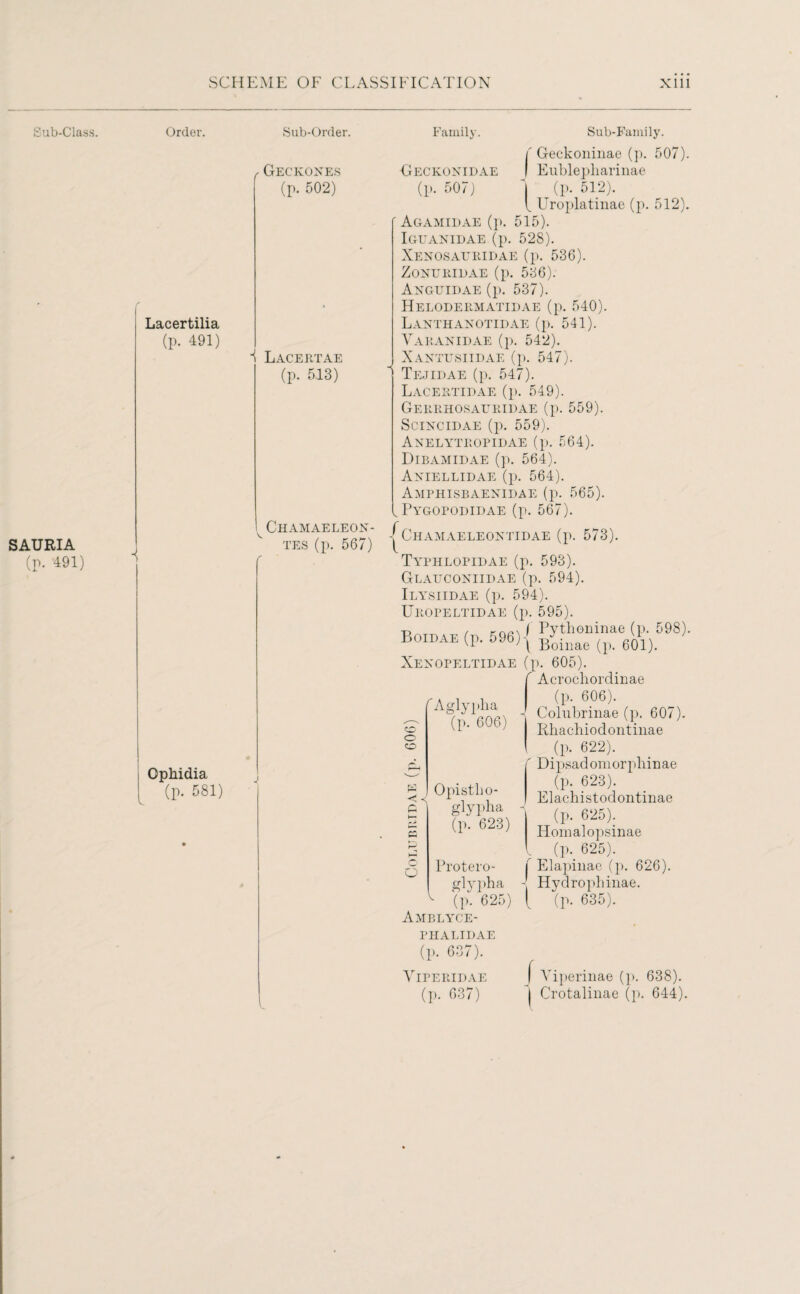 Sub-Class. SAURIA (P- 491) Order. I Lacertilia (p. 491) 1 Ophidia (p. 581) Sub-Order. , Geckones (p. 502) ■i Lacertae (p. 513) Chamaeleon- tes (p. 567) Family. Sub-Family. f Geckoninae (p. 507). Geckonidae I Eublepliarinae (p. 507) 1 (p. 512). V. Uroplatinae (p. 512). ' Agamidae (p. 515). Iguakidae (p. 528). Xenosauridae (p. 536). ZONURIDAE (p. 536). Anguidae (p. 537). Helodermatidae (p. 540). Lanthanotidae (p. 541). Varanidae (p. 542). Xantusiidae (p. 547). Tejidae (p. 547). Lacertidae (p. 549). Gerrhosauridae (p. 559). Scixcidae (p. 559). Anelytropidae (p. 564). Dibamidae (p. 564). Aniellidae (p. 564). Amphisbaenidae (p. 565). , Pygopodidae (p. 567). /Chamaeleontidae (p. 573). Typhlopidae (p. 593). Glauconiidae (p. 594). Ilysiidae (p. 594). Uropeltidae (p. 595). Botgxe (d 596)1 pythoninae (P- 598)- J40IDAE (p. oJb) | Boinae (pt 60!). Xexopeltidae (p. 605). f Acrocliordinae CO o CO f Aglypha (p. 606) pi pi PS Opistho- glypha (p. 623) o Protero- glypha 1 (I>. 625) Amblyce- PHALIDAE (p. 606). x Colubrinae (p. 607). Rhachiodontinae I (p. 622). f Dipsadomorphinae (p. 623). Elachistodontinae (p. 625). Idomalopsinae , (p. 625). f Elapinae (p. 626). Hydrophinae. [ (P- 635). (p. 637). Yiperidae / Viperinae (p. 638). (p. 637) ) Crotalinae (p. 644).