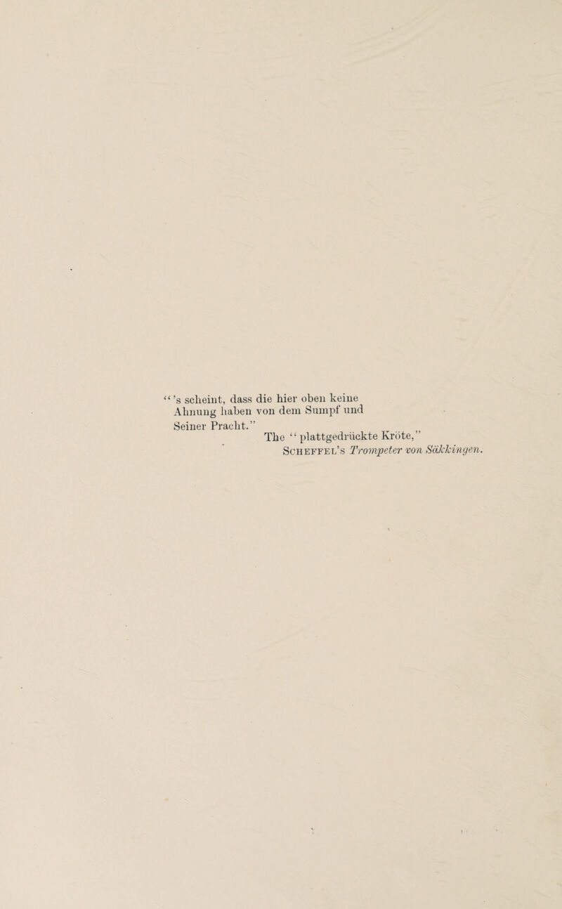 “’s scheint, dass die hier oben keine Almung liaben von dem Sumpf und Seiner Pracht.” The “ plattgedriickte Krote,” Scheffel’s Trompeter von SaJckingen.