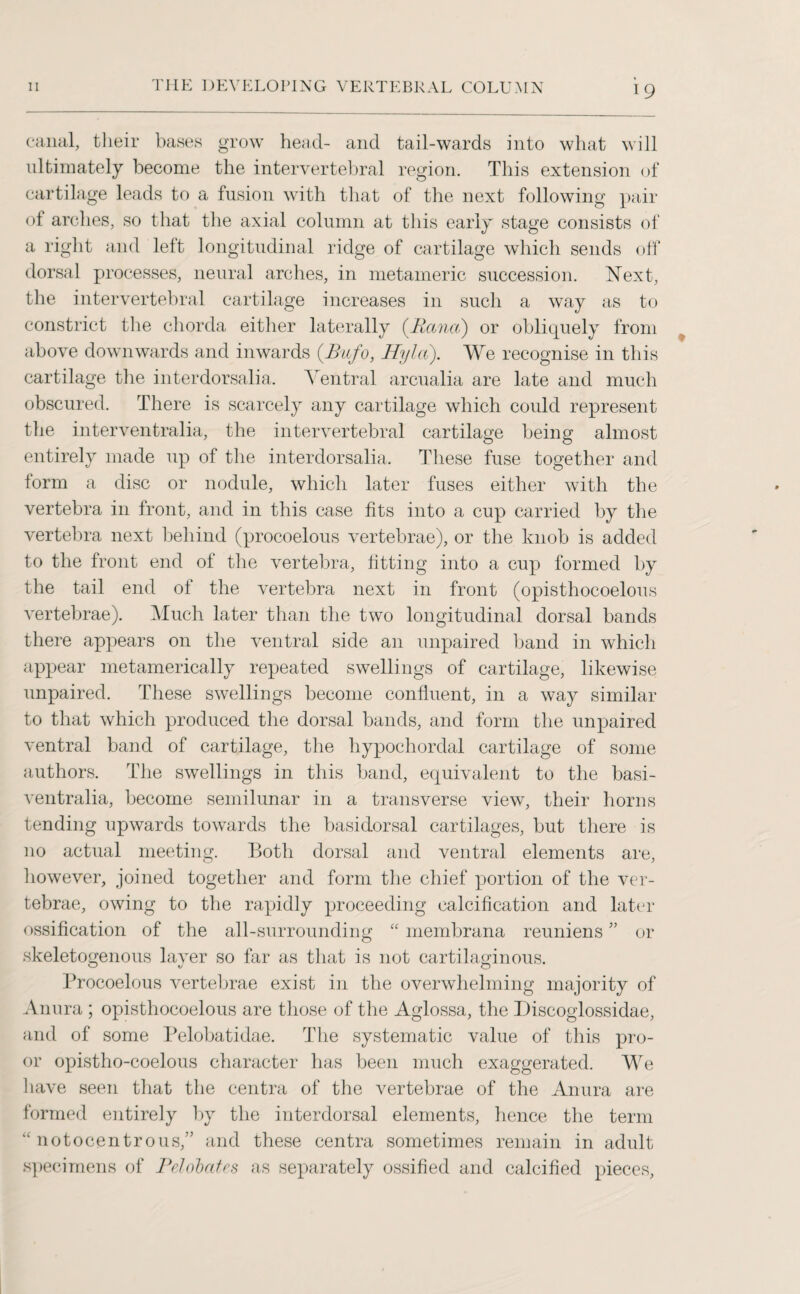 19 canal, their bases grow head- and tail-wards into what will ultimately become the intervertebral region. This extension of cartilage leads to a fusion with that of the next following pair of arches, so that the axial column at this early stage consists of a right and left longitudinal ridge of cartilage which sends off dorsal processes, neural arches, in metameric succession. Next, the intervertebral cartilage increases in such a way as to constrict the chorda either laterally (.Rctna) or obliquely from above downwards and inwards (Bufo, Hyla). We recognise in this cartilage the interdorsalia. Ventral arcualia are late and much obscured. There is scarcely any cartilage which could represent the interventralia, the intervertebral cartilage being almost entirely made up of the interdorsalia. These fuse together and form a disc or nodule, which later fuses either with the vertebra in front, and in this case fits into a cup carried by the vertebra next behind (procoelous vertebrae), or the knob is added to the front end of the vertebra, fitting into a cup formed by the tail end of the vertebra next in front (opisthocoelous vertebrae). Much later than the two longitudinal dorsal bands there appears on the ventral side an unpaired band in which appear metamerically repeated swellings of cartilage, likewise unpaired. These swellings become confluent, in a way similar to that which produced the dorsal bands, and form the unpaired ventral band of cartilage, the hypochordal cartilage of some authors. The swellings in this band, equivalent to the basi- ventralia, become semilunar in a transverse view, their horns tending upwards towards the basidorsal cartilages, but there is no actual meeting. Both dorsal and ventral elements are, however, joined together and form the chief portion of the ver¬ tebrae, owing to the rapidly proceeding calcification and later ossification of the all-surrounding “ membrana reuniens ” or skeletogenous layer so far as that is not cartilaginous. Procoelous vertebrae exist in the overwhelming majority of Anura ; opisthocoelous are those of the Aglossa, the Discoglossidae, and of some Pelobatidae. The systematic value of this pro- or opistho-coelous character has been much exaggerated. We have seen that the centra of the vertebrae of the Anura are formed entirely by the interdorsal elements, hence the term “ notocentrous,” and these centra sometimes remain in adult specimens of Pdobates as separately ossified and calcified pieces,