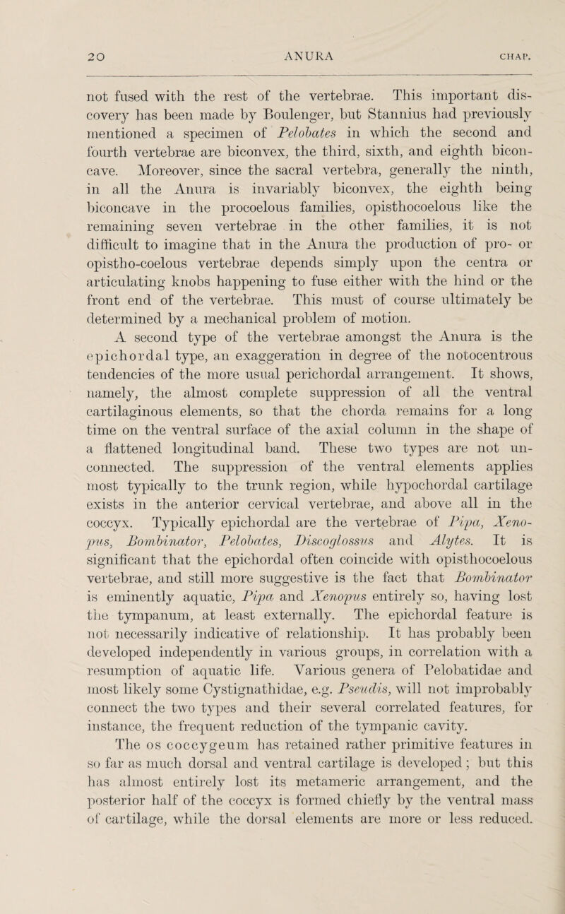 not fused with the rest of the vertebrae. This important dis¬ covery has been made by Boulenger, but Stannius had previously mentioned a specimen of Pelobates in which the second and fourth vertebrae are biconvex, the third, sixth, and eighth bicon¬ cave. Moreover, since the sacral vertebra, generally the ninth, in all the Anura is invariably biconvex, the eighth being biconcave in the procoelous families, opisthocoelous like the remaining seven vertebrae in the other families, it is not difficult to imagine that in the Anura the production of pro- or opistho-coelous vertebrae depends simply upon the centra or articulating knobs happening to fuse either with the hind or the front end of the vertebrae. This must of course ultimately be determined by a mechanical problem of motion. A second type of the vertebrae amongst the Anura is the epichordal type, an exaggeration in degree of the notocentrous tendencies of the more usual periclrordal arrangement. It shows, namely, the almost complete suppression of all the ventral cartilaginous elements, so that the chorda remains for a long time on the ventral surface of the axial column in the shape of a flattened longitudinal band. These two types are not un¬ connected. The suppression of the ventral elements applies most typically to the trunk region, while hypochordal cartilage exists in the anterior cervical vertebrae, and above all in the coccyx. Typically epichordal are the vertebrae of Pipa, Xeno- 2ms, Bombinator, Pelobates, Discoglossus and Alytes. It is significant that the epichordal often coincide with opisthocoelous vertebrae, and still more suggestive is the fact that Bombinator is eminently aquatic, Pipa and Xenopus entirely so, having lost the tympanum, at least externally. The epichordal feature is not necessarily indicative of relationship. It has probably been developed independently in various groups, in correlation with a resumption of aquatic life. Various genera of Pelobatidae and most likely some Cystignathidae, e.g. Pseudis, will not improbably connect the two types and their several correlated features, for instance, the frequent reduction of the tympanic cavity. The os coccygeum has retained rather primitive features in so far as much dorsal and ventral cartilage is developed; but this has almost entirely lost its metameric arrangement, and the posterior half of the coccyx is formed chiefly by the ventral mass of cartilage, while the dorsal elements are more or less reduced.