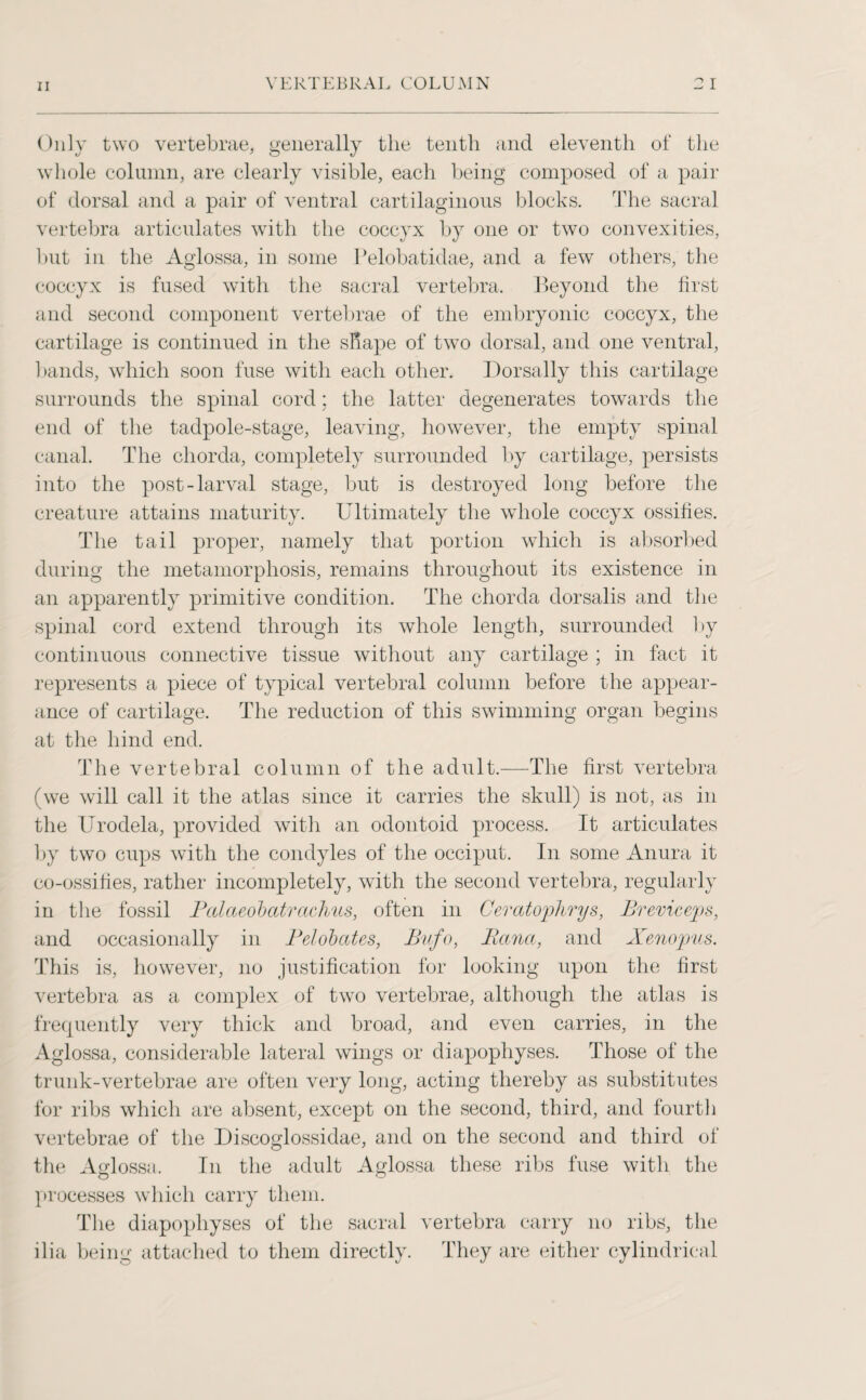 Only two vertebrae, generally the tenth and eleventh of the whole column, are clearly visible, each being composed of a pair of dorsal and a pair of ventral cartilaginous blocks. The sacral vertebra articulates with the coccyx by one or two convexities, but in the Aglossa, in some Pelobatidae, and a few others, the coccyx is fused with the sacral vertebra. Beyond the first and second component vertebrae of the embryonic coccyx, the cartilage is continued in the shape of two dorsal, and one ventral, bands, which soon fuse with each other. Dorsally this cartilage surrounds the spinal cord; the latter degenerates towards the end of the tadpole-stage, leaving, however, the empty spinal canal. The chorda, completely surrounded by cartilage, persists into the post-larval stage, but is destroyed long before the creature attains maturity. Ultimately the whole coccyx ossifies. The tail proper, namely that portion which is absorbed during the metamorphosis, remains throughout its existence in an apparently primitive condition. The chorda dorsalis and the spinal cord extend through its whole length, surrounded by continuous connective tissue without any cartilage ; in fact it represents a piece of typical vertebral column before the appear¬ ance of cartilage. The reduction of this swimming organ begins at the hind end. The vertebral column of the adult.—The first vertebra (we will call it the atlas since it carries the skull) is not, as in the Urodela, provided with an odontoid process. It articulates by two cups with the condyles of the occiput. In some Anura it co-ossifies, rather incompletely, with the second vertebra, regularly in the fossil Pcdaeobatracinus, often in Ceratophrys, Brevicejps, and occasionally in Pelobates, Bufo, Bana, and Xenojpus. This is, however, no justification for looking upon the first vertebra as a complex of twTo vertebrae, although the atlas is frequently very thick and broad, and even carries, in the Aglossa, considerable lateral wings or diapophyses. Those of the trunk-vertebrae are often very long, acting thereby as substitutes for ribs which are absent, except on the second, third, and fourth vertebrae of the Discoglossidae, and on the second and third of the Aglossa. In the adult Aglossa these ribs fuse with the processes which carry them. The diapophyses of the sacral vertebra carry no ribs, the ilia being attached to them directly. They are either cylindrical