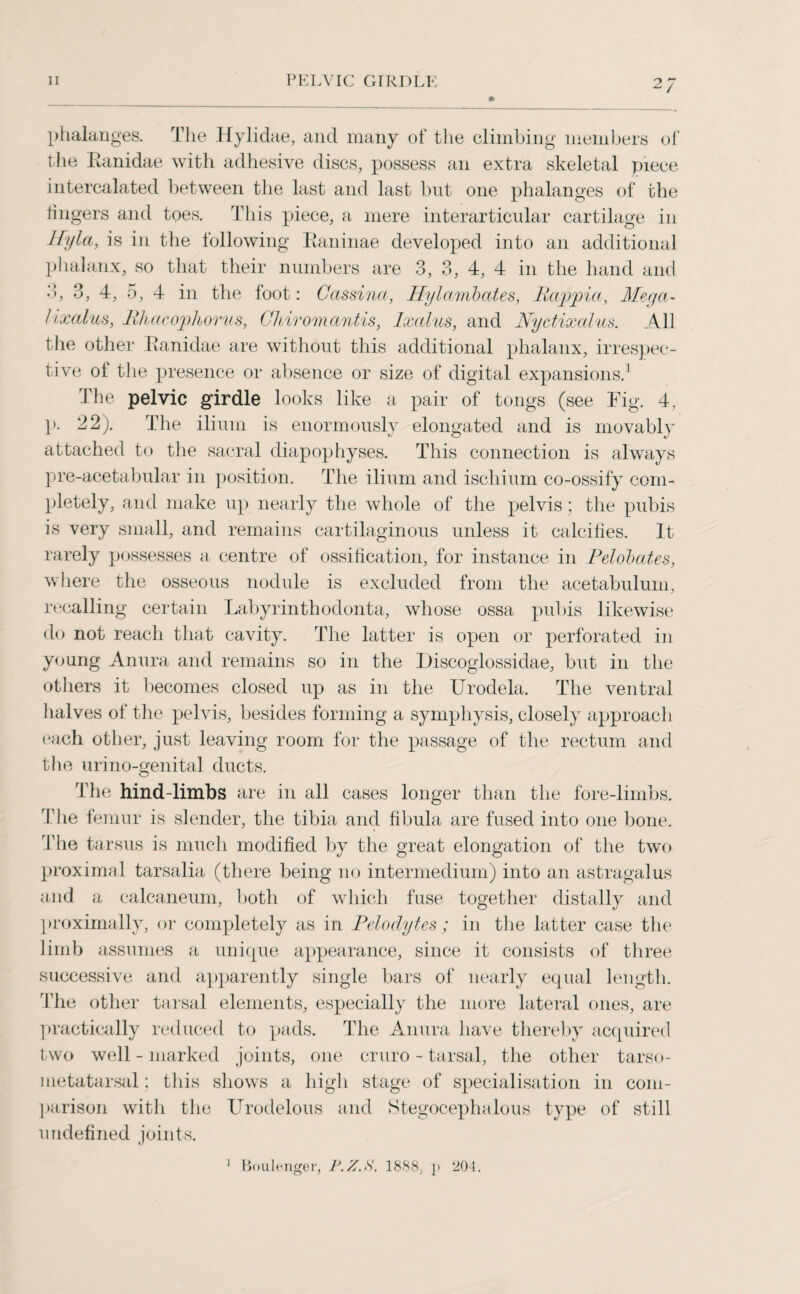 phalanges. The Hylidae, and many of the climbing members of the Banidae with adhesive discs, possess an extra skeletal piece intercalated between the last and last but one phalanges of the lingers and toes. This piece, a mere interarticular cartilage in Jfyla, is in the following Baninae developed into an additional phalanx, so that their numbers are 3, 3, 4, 4 in the hand and 3, 3, 4, 5, 4 in the foot: Cassina, Hylambates, Rappia, Mega- lixalus, Rhacophorus, Chiromantis, Ixalus, and Nyctixalus. All the other Banidae are without this additional phalanx, irrespec¬ tive of the presence or absence or size of digital expansions.1 the pelvic girdle looks like a pair of tongs (see Fig. 4, p. 22). The ilium is enormously elongated and is movably attached to the sacral diapophyses. This connection is always pre-acetabular in position. The ilium and ischium co-ossify com¬ pletely, and make up nearly the whole of the pelvis; the pubis is very small, and remains cartilaginous unless it calcifies. It rarely possesses a centre of ossification, for instance in Pelobates, where the osseous nodule is excluded from the acetabulum, recalling certain Labyrinthodonta, whose ossa pubis likewise do not reach that cavity. The latter is open or perforated in young Anura and remains so in the Discoglossidae, but in the others it becomes closed up as in the Urodela. The ventral halves of the pelvis, besides forming a symphysis, closely approach each other, just leaving room for the passage of the rectum and the urino-genital ducts. The hind-limbs are in all cases longer than the fore-limbs. The femur is slender, the tibia and fibula are fused into one bone. The tarsus is much modified by the great elongation of the two proximal tarsalia (there being no intermedium) into an astragalus and a calcaneum, both of which fuse together distally and proximally, or completely as in Pelodytes ; in the latter case the limb assumes a unique appearance, since it consists of three successive and apparently single bars of nearly equal length. The other tarsal elements, especially the more lateral ones, are practically reduced to pads. The Anura have thereby acquired two well - marked joints, one cruro - tarsal, the other tarso¬ metatarsal : this shows a high stage of specialisation in com¬ parison with the Urodelous and Stegocephalous type of still undefined joints. 1 Boulenger, P.Z.S. 1888, ]> 204.