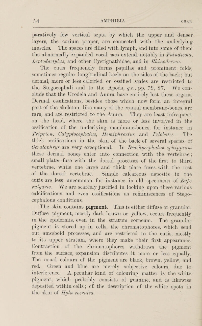 paratively few vertical septa by which the upper and denser layers, the corium proper, are connected with the underlying muscles. The spaces are filled with lymph, and into some of them the abnormally expanded vocal sacs extend, notably in Paludicola, Leptodactylus, and other Cystignathidae, and in Pliinoderma. The cutis frequently forms papillae and prominent folds, sometimes regular longitudinal keels on the sides of the back; but dermal, more or less calcified or ossified scales are restricted to the Stegocephali and to the Apoda, q.v., pp. 79, 87. We con¬ clude that the Urodela and Anura have entirely lost these organs. Dermal ossifications, besides those which now form an integral part of the skeleton, like many of the cranial membrane-bones, are rare, and are restricted to the Anura. They are least infrequent on the head, where the skin is more or less involved in the ossification of the underlying membrane-bones, for instance in Triprion, Oalyptocephalus, Hemiphractus and Pelobates. The thick ossifications in the skin of the back of several species of Ceratophrys are very exceptional. In Prachycephalus ephippium these dermal bones enter into connection with the vertebrae; small plates fuse with the dorsal processes of the first to third vertebrae, while one large and thick plate fuses with the rest of the dorsal vertebrae. Simple calcareous deposits in the cutis are less uncommon, for instance, in old specimens of Bufo vulgaris. We are scarcely justified in looking upon these various calcifications and even ossifications as reminiscences of Steso- o cephalous conditions. The skin contains pigment. This is either diffuse or granular. Diffuse pigment, mostly dark brown or yellow, occurs frequently in the epidermis, even in the stratum corneum. The granular pigment is stored up in cells, the chromatophores, which send out amoeboid processes, and are restricted to the cutis, mostly to its upper stratum, where they make their first appearance. Contraction of the chromatophores withdraws the pigment from the surface, expansion distributes it more or less equally. The usual colours of the pigment are black, brown, yellow, and red. Green and blue are merely subjective colours, due to interference. A peculiar kind of colouring matter is the white pigment, which probably consists of guanine, and is likewise deposited within cells; cf. the description of the white spots in the skin of Hyla coerulea.