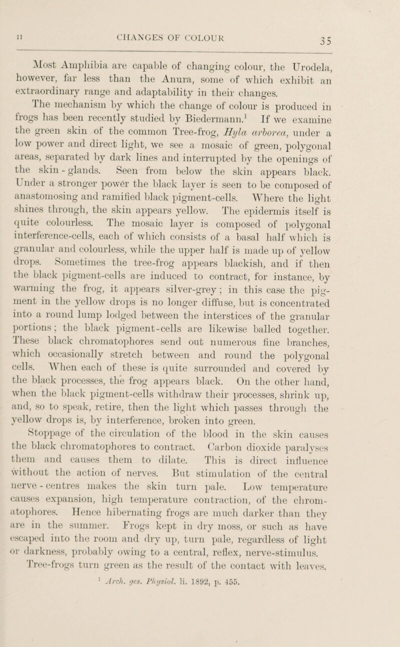 Most Amphibia are capable of changing colour, the Urodela, however, far less than the Anura, some of which exhibit an extraordinary range and adaptability in their changes. 1 he mechanism by which the change of colour is produced in frogs lias been recently studied by Biedermann.1 If we examine the green skin of the common Tree-frog, Hyla cirboreci, under a low power and direct light, we see a mosaic of green, polygonal areas, separated by dark lines and interrupted by the openings of the skin - glands. Seen from below the skin appears black. Under a stronger power the black layer is seen to be composed of anastomosing and ramified black pigment-cells. Where the light shines through, the skin appears yellow. The epidermis itself is quite colourless. The mosaic layer is composed of polygonal interference-cells, each of which consists of a basal half which is granular and colourless, while the upper half is made up of yellow drops. Sometimes the tree-frog appears blackish, and if then the black pigment-cells are induced to contract, for instance, by warming the frog, it appears silver-grey; in this case the pig¬ ment in the yellow drops is no longer diffuse, but is concentrated into a round lump lodged between the interstices of the granular portions; the black pigment-cells are likewise balled together. These black chromatophores send out numerous fine branches, which occasionally stretch between and round the polygonal cells. When each of these is quite surrounded and covered by the black processes, the frog appears black. On the other hand, when the black pigment-cells withdraw their processes, shrink up, and, so to speak, retire, then the light which passes through the yellow drops is, by interference, broken into green. Stoppage of the circulation of the blood in the skin causes the black chromatophores to contract. Carbon dioxide paralyses them and causes them to dilate. This is direct influence without the action of nerves. But stimulation of the central nerve - centres makes the skin turn pale. Low temperature causes expansion, high temperature contraction, of the chrom¬ atophores. Hence hibernating frogs are much darker than they are in the summer. Frogs kept in dry moss, or such as have escaped into the room and dry up, turn pale, regardless of light or darkness, probably owing to a central, reflex, nerve-stimulus. Tree-frogs turn green as the result of the contact with leaves. Arch. (jcs. Physiol, li. 1892, p. 455. i