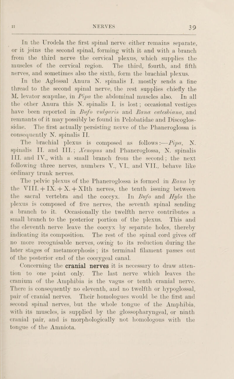 In the Urodela the first spinal nerve either remains separate, or it joins the second spinal, forming with it and with a branch from the third nerve the cervical plexus, which supplies the muscles of the cervical region. The third, fourth, and fifth nerves, and sometimes also the sixth, form the brachial plexus. In the Aglossal Anura X. spinalis I. mostly sends a fine thread to the second spinal nerve, the rest supplies chiefly the M. levator scapulae, in Pipa the abdominal muscles also. In all the other Anura this X. spinalis I. is lost; occasional vestiges have been reported in Bufo vulgaris and Banco catesbiana, and remnants of it may possibly be found in Pelobatidae and Discoglos- sidae. The first actually persisting nerve of the Phaneroglossa is consequently X. spinalis II. The brachial plexus is composed as follows:—Pipa, X. spinalis II. and IIP; Xenopus and Phaneroglossa, X. spinalis III. and IV., with a small branch from the second; the next following three nerves, numbers V., VI., and VII., behave like ordinary trunk nerves. The pelvic plexus of the Phaneroglossa is formed in Patna by the VIII. -f IX. + X. + Xlth nerves, the tenth issuing between the sacral vertebra and the coccyx. In Bufo and Hyla the plexus is composed of five nerves, the seventh spinal sending a branch to it. Occasionally the twelfth nerve contributes a small branch to the posterior portion of the plexus. This and the eleventh nerve leave the coccyx by separate holes, thereby indicating its composition. The rest of the spinal cord gives off no more recognisable nerves, owing to its reduction during the later stages of metamorphosis ; its terminal filament passes out of the posterior end of the coccygeal canal. Concerning the cranial nerves it is necessary to draw atten¬ tion to one point only. The last nerve which leaves the cranium of the Amphibia is the vagus or tenth cranial nerve. There is consequently no eleventh, and no twelfth or hypoglossal, pair of cranial nerves. Their homologues would be the first and second spinal nerves, but the whole tongue of the Amphibia, with its muscles, is supplied by the glossopharyngeal, or ninth cranial pair, and is morphologically not homologous with the tongue of the Amniota.