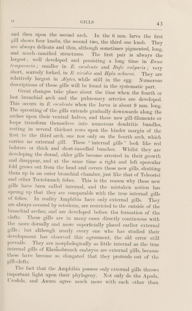 43 and then upon the second arch. In the 6 mm. larva the first <pll shows four knobs, the second two, the third one knob. They arc always delicate and thin, although sometimes pigmented, long, and much-ramified structures. The first pair is always the largest; well developed and persisting a long time in Pi ana temporaria; smaller in P. esculenta and Pufo vulgaris; very short, scarcely forked, in B. viridis and Hyla arborea. They are lclathely largest in Blytes, while still in the egg. Numerous descriptions of these gills will he found in the systematic part. (Treat changes take place about the time when the fourth or ki>t bianchial arch and the pulmonary arteries are developed. This occurs in P. esculenta when the larva is about 9 mm. long. I he sprouting of the gills extends gradually downwards along the <ii( ht's upon their ventral halves, and these new gill-filaments or loops transform themselves into numerous dendritic bundles, lesting in several thickset rows upon the hinder margin of the first to the third arch, one row only on the fourth arch, which carries no external gill. These “internal gills look like red bolsters or thick and short-tasselled bunches. Whilst they are developing the dorsal, older gills become arrested in their growth and disappear, and at the same time a right and left opercular fold grows out from the head and covers these new gills, shutting them up in an outer branchial chamber, just like that of Teleostei and other lectobranch fishes. This is the reason why these new* gills have been called internal, and the mistaken notion has sprung up that they are comparable witli the true internal gills of fishes. In reality Amphibia haye only external gills. They are always covered by ectoderm, are restricted to the outside of the branchial arches, and are developed before the formation of the clefts. These gills are in many cases directly continuous with the more dorsally and more superficially placed earlier external gills; but although nearly every one who has studied their development has observed this agreement, the old error still prevails. They are morphologically as little internal as the true internal gills of Elasmobranch embryos are external gills, because these have become so elongated that they protrude out of the gill-clefts. I fie fact that the Amphibia possess only external gills throws important light upon their phylogeny. Not only do the Apoda, l rodela, and Anura agree much more with each other than