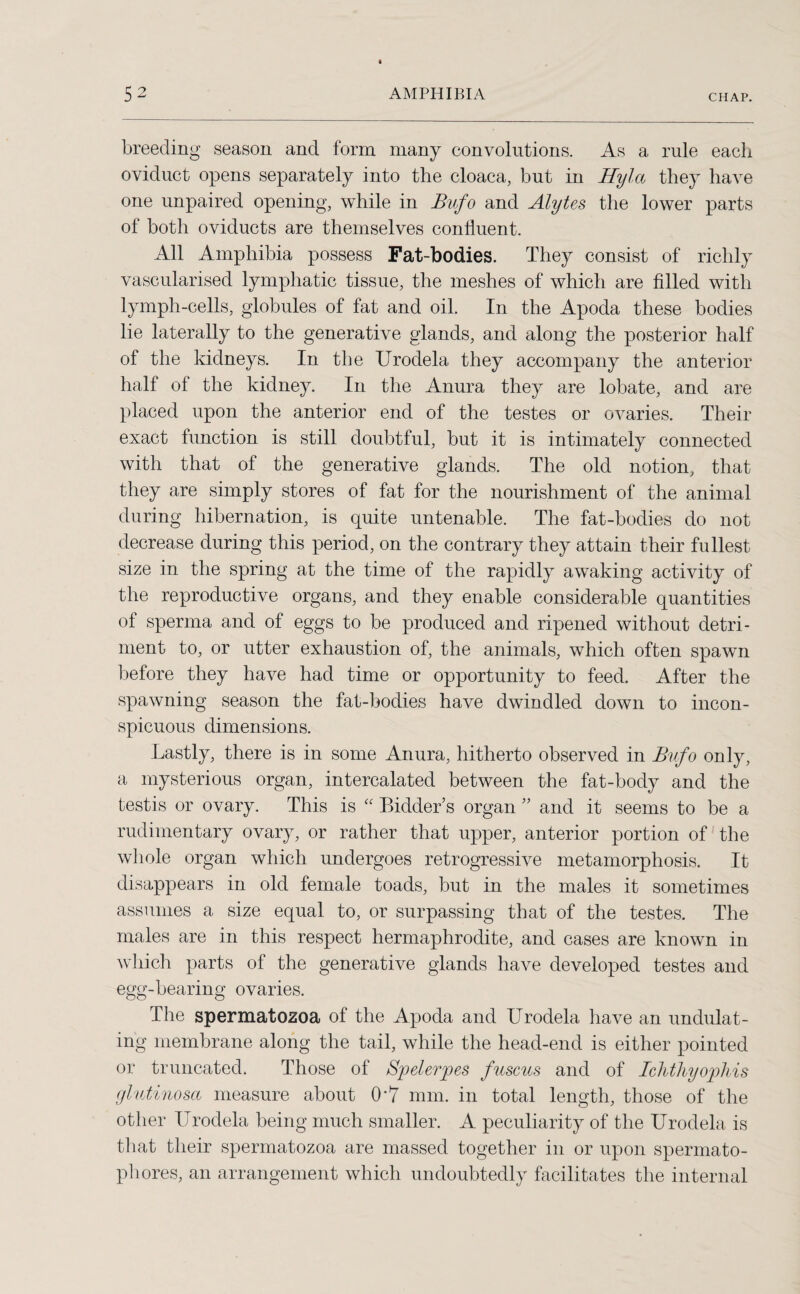 breeding season and form many convolutions. As a rule each oviduct opens separately into the cloaca, but in Hylct they have one unpaired opening, while in Bufo and Alytes the lower parts of both oviducts are themselves confluent. All Amphibia possess Fat-bodies. They consist of richly vascularised lymphatic tissue, the meshes of which are filled with lymph-cells, globules of fat and oil. In the Apoda these bodies lie laterally to the generative glands, and along the posterior half of the kidneys. In the Urodela they accompany the anterior half of the kidney. In the Anura they are lobate, and are placed upon the anterior end of the testes or ovaries. Their exact function is still doubtful, but it is intimately connected with that of the generative glands. The old notion, that they are simply stores of fat for the nourishment of the animal during hibernation, is quite untenable. The fat-bodies do not decrease during this period, on the contrary they attain their fullest size in the spring at the time of the rapidly awaking activity of the reproductive organs, and they enable considerable quantities of sperma and of eggs to be produced and ripened without detri¬ ment to, or utter exhaustion of, the animals, which often spawn before they have had time or opportunity to feed. After the spawning season the fat-bodies have dwindled down to incon¬ spicuous dimensions. Lastly, there is in some Anura, hitherto observed in Bufo only, a mysterious organ, intercalated between the fat-body and the testis or ovary. This is “ Bidder’s organ ” and it seems to be a rudimentary ovary, or rather that upper, anterior portion of the whole organ which undergoes retrogressive metamorphosis. It disappears in old female toads, but in the males it sometimes assumes a size equal to, or surpassing that of the testes. The males are in this respect hermaphrodite, and cases are known in which parts of the generative glands have developed testes and egg-bearing ovaries. The spermatozoa of the Apoda and Urodela have an undulat¬ ing membrane along the tail, while the head-end is either pointed or truncated. Those of Spelerpes fuscus and of Ichthyophis glutinosa measure about 0*7 mm. in total length, those of the other Urodela being much smaller. A peculiarity of the Urodela is that their spermatozoa are massed together in or upon spermato- phores, an arrangement which undoubtedly facilitates the internal