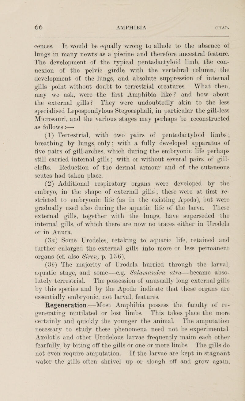 cences. It would be equally wrong to allude to the absence of lungs in many newts as a piscine and therefore ancestral feature. The development of the typical pentadactyloid limb, the con¬ nexion of the pelvic girdle with the vertebral column, the development of the lungs, and absolute suppression of internal gills point without doubt to terrestrial creatures. What then, may we ask, were the first Amphibia like ? and how about the external gills ? They were undoubtedly akin to the less specialised Lepospondylous Stegocephali, in particular the gill-less Microsauri, and the various stages may perhaps be reconstructed as follows:— (1) Terrestrial, with two pairs of pentadactyloid limbs; breathing by lungs only; with a fully developed apparatus of five pairs of gill-arches, which during the embryonic life perhaps still carried internal gills; with or without several pairs of gill- clefts. Reduction of the dermal armour and of the cutaneous scutes had taken place. (2) Additional respiratory organs were developed by the embryo, in the shape of external gills; these were at first re¬ stricted to embryonic life (as in the existing Apoda), but were gradually used also during the aquatic life of the larva. These external gills, together with the lungs, have superseded the internal gills, of which there are now no traces either in TJrodela or in Anura. (3a) Some Urodeles, retaking to aquatic life, retained and further enlarged the external gills into more or less permanent organs (cf. also Siren, p. 136). (3b) The majority of Urodela hurried through the larval, aquatic stage, and some—e.g. Salamandra atra—became abso¬ lutely terrestrial. The possession of unusually long external gills by this species and by the Apoda indicate that these organs are essentially embryonic, not larval, features. Regeneration.—Most Amphibia possess the faculty of re¬ generating mutilated or lost limbs. This takes place the more certainly and quickly the younger the animal. The amputation necessary to study these phenomena need not be experimental. Axolotls and other Urodelous larvae frequently maim each other fearfully, by biting off the gills or one or more limbs. The gills do not even require amputation. If the larvae are kept in stagnant water the gills often shrivel up or slough off and grow again.