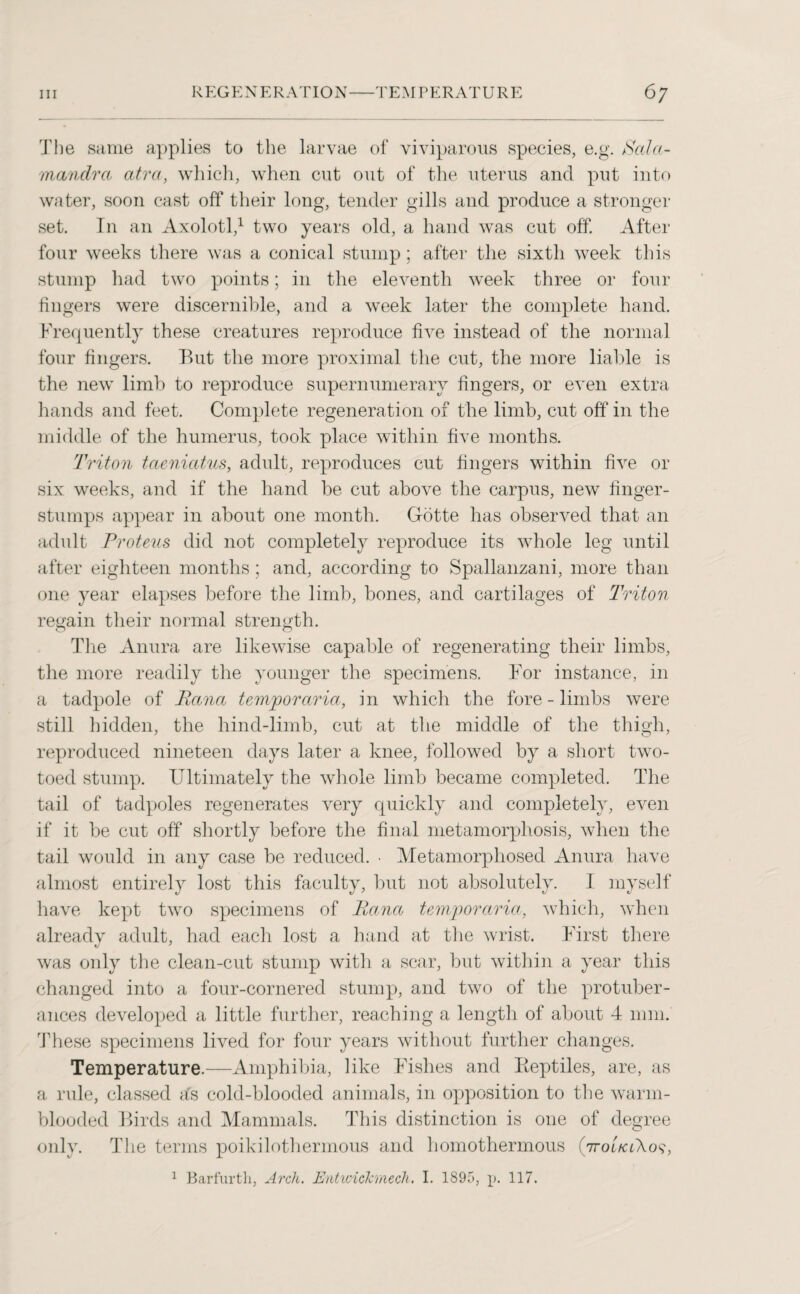 The same applies to the larvae of viviparous species, e.g. Sala- mandrcs atres, which, when cut out of the uterus and put into water, soon cast off their long, tender gills and produce a stronger set. In an Axolotl,1 two years old, a hand was cut off. After four weeks there was a conical stump; after the sixth week this stump had two points; in the eleventh week three or four fingers were discernible, and a week later the complete hand. Frequently these creatures reproduce five instead of the normal four fingers. But the more proximal the cut, the more liable is the new limb to reproduce supernumerary fingers, or even extra hands and feet. Complete regeneration of the limb, cut off in the middle of the humerus, took place within five months. Triton taenicctus, adult, reproduces cut fingers within five or six weeks, and if the hand be cut above the carpus, new finger- stumps appear in about one month. Gotte has observed that an adult Proteus did not completely reproduce its whole leg until after eighteen months ; and, according to Spallanzani, more than one year elapses before the limb, bones, and cartilages of Triton regain their normal strength. The Anura are likewise capable of regenerating their limbs, the more readily the younger the specimens. For instance, in a tadpole of Pesna temporaries, in which the fore - limbs were still hidden, the hind-limb, cut at the middle of the thigh, reproduced nineteen days later a knee, followed by a short two¬ toed stump. Ultimately the whole limb became completed. The tail of tadpoles regenerates very quickly and completely, even if it be cut off shortly before the final metamorphosis, when the tail would in any case be reduced. • Metamorphosed Anura have almost entirely lost this faculty, but not absolutely. I myself have kept two specimens of Panes temporaries, which, when already adult, had each lost a hand at the wrist. First there was only the clean-cut stump with a scar, but within a year this changed into a four-cornered stump, and two of the protuber¬ ances developed a little further, reaching a length of about 4 mm. These specimens lived for four years without further changes. Temperature.—Amphibia, like Fishes and Iieptiles, are, as a rule, classed a's cold-blooded animals, in opposition to the warm¬ blooded Birds and Mammals. This distinction is one of degree only. The terms poikilothermous and homothermous (7to'lklKos, 1 Barfurth, Arch. JEnt wick meek. I. 1895, p. 117.