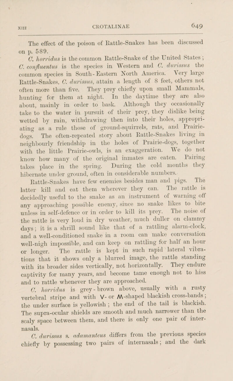 The effect of the poison of Rattle-Snakes has been discussed on p. 589. C. horridus is the common Rattle-Snake of the United States ; C. confluentus is the species in Western and C. durissus the common species in South-Eastern North America. Very large Rattle-Snakes, C. durissus, attain a length of 8 feet, others not often more than five. They prey chiefly upon small Mammals, hunting for them at night. In the daytime they are also about, mainly in order to bask. Although they occasionally take to the water in pursuit of their prey, they dislike being wetted by rain, withdrawing then into their holes, appropri¬ ating as a rule those of ground-squirrels, rats, and Prairie- dogs. The often-repeated story about Rattle-Snakes living in neighbourly friendship in the holes of Prairie-dogs, together with the little Prairie-owls, is an exaggeration. We do not know how many of the original inmates are eaten. Pairing takes place in the spring. During the cold months they hibernate under ground, often in considerable numbers. Rattle-Snakes have few enemies besides man and pigs. The latter kill and eat them wherever they can. llie rattle is decidedly useful to the snake as an instrument of warning off any approaching possible enemy, since no snake likes to bite unless in self-defence or in order to kill its prey. The noise ot the rattle is very loud in dry weather, much duller on clammy days j it is a shrill sound like that of a rattling alaim-clock, and a well-conditioned snake in a room can make conveisation well-nigh impossible, and can keep on rattling for half an liom or longer. The rattle is kept in such rapid lateral vibra¬ tions that it shows only a blurred image, the rattle standing with its broader sides vertically, not horizontally. They endure captivity for many years, and become tame enough not to hiss and to rattle whenever they are approached. C. horridus is grey - brown above, usually with a rusty vertebral stripe and with V-or M-shaped blackish cross-bands, the under surface is yellowish 5 the end of the tail is blackish. The supra-ocular shields are smooth and much narrower than the scaly space between them, and there is only one pair of inter¬ nasals. C. durissus s. adamanteus differs from the previous species chiefly by possessing two pairs ol internasals; and the dark