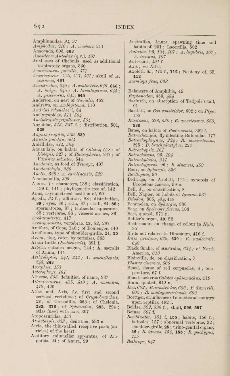 Amphiumidae, 94, 97 Amphodus, 210; A. wucheri, 211 Anaconda, 603, 603 Anaides = Autodax (q.v.), 107 Anal sacs of Chelonia, used as additional respiratory organs, 330 Anarosaurus pumilio, ^77 Ancliisaurus, 415, 417, 421 >' skull of A. coelurus, 421 Ancistrodon, 645; A. contortrix, 646, 646 ; A. halys, 645; A. himalciyanus, 645; A. pis civ or us, 645, 645 Anderson, on nest of Gcivialis, 452 Andrews, on Amblystoma, 110 Andrias scheuchzeri, 84 Anelytropidae, 514, 564 Anelytropsis papillosus, 564 Anguidae, 513, 537 f. ; distribution, 501, 529 Anguis frag ills, 539, 539 Amelia pidchra, 564 Aniellidae, 514, 564 Annandale, on habits of Calotes, 518 ; of Liolepis, 527 ; of Rhacophorus, 247 ; of Varanus salvator, 544 Anodonta, as food of Trionyx, 407 Anoclontohyla, 236 Anolis, 528 ; A. carolinensis, 529 Anomodontia, 309 Anura, 7 ; characters, 138 ; classification, 139 f., 141 ; phylogenetic tree of, 142 Anus, asymmetrical position of, 60 Apoda, 84 f. ; affinities, 88 ; distribution, 89 ; eyes, 86 ; skin, 87 ; skull, 84, 85 ; spermatozoa, 87 ; tentacular apparatus, 88 ; vertebrae, 86 ; visceral arches, 86 Archaeopteryx, 417 Archegosaurus, vertebrae, 13, 82, 287 Arcifera, of Cope, 140 ; of Boulenger, 140 Arciferous, type of shoulder-girdle, 24, 25 Avion, slug, eaten by tortoises, 363 Arrau-turtle (Podocnemis), 391 f. Arteria cutanea magna, 144 ; A. sacralis of Anura, 144 Arthroleptis, 241, 242; A. seychellensis, 243, 243 Ascaphus, 153 Aster ophrys, 161 Athecae, 333, definition of name, 337 Atlcmtosaurus, 415, 429 ; A. immanis, 419, 420 Atlas and Axis, i.e. first and second cervical vertebrae ; of Cryptobranchus, 13 ; of Crocodilia, 283 ; of Chelonia, 283, 316 ; of Sphenoclon, 283, 294 ; atlas fused with axis, 307 Atoposauridae, 453 Atractaspis, 638 ; dentition, 593 n. Atria, the thin-walled receptive parts (au¬ ricles) of the heart Auditory columellar apparatus, of Am¬ phibia, 24 ; of Anura, 29 Australian, Anura, spawning time and habits of, 201 ; Lacertilia, 502 Autodax, 96, 104, 107; A.lugubris, 107; A. iecanus, 107 Autosauri, 491 f. Axis ; see Atlas Axolotl, 65, 112 f., 112 ; Neoteny of, 65, 112 Azemiops feae, 638 Balancers of Amphibia, 45 Baptanodon, 483, 484 Barfurth, on absorption of Tadpole’s tail, 61 Bartlett, on Boa constrictor, 602 ; on Pip a, 152 Basiliscus, 528, 530 ; B. americanus, 530, 530 Bates, on habits of Podocnemis, 392 f. Batrachomyia, fly infesting Bufonidae, 177 Batracliophrynus, 224; 23. macrostomus, 225 ; B. brcichydactylus, 224 Batrachopsis, 161 Batrachoseps, 96, 104 Batrachylodes, 24I Batrcicliyperus, 96 ; B. sinensis, 109 Baur, on Sphargis, 336 Bdellophis, 90 Bedriaga, on Axolotl, 114 ; synopsis of Urodelous Larvae, 59 n. Bell, J., on classification, 8 Bell, Napier, on habits of Iguana, 531 Belodon, 305, 494-, 443 Bemmelen, on Sphargis, 336 Berg, on Spelerpes fuscus, 106 Bert, quoted, 571 n. Bidder’s organ, 49, 52 Biedermann, on change of colour in Hyla, 35 Birds not related to Dinosaurs, 416 f. Bitis arietans, 639, 639 ; 13. nasicornis, 64O Black Snake, of Australia, 634 / of North America, 613 Blainville, de, on classification, 7 Blanus cinereus, 566 Blood, shape of red corpuscles, 4 ; tem¬ perature, 67 f. Blood-sucker =: Calotes ophiomachus, 519 Blum, quoted, 642 n. Boa, 602 ; B. constrictor, 602 ; B. dumerili, 602; B. madagascariensis, 602 Boettger, on influence of climate and country upon reptiles, 492 f. Boidae, 592, 596 f. ; skull, 596, 597 Boinae, 601 f. Bombinator, 154 fi 155 ; habits, 156 f. ; tadpoles, 157 ; abnormal vertebrae, 22 ; shoulder-girdle, 25 ; urino-genital organs, 49 ; B. igneus, 154, 155 ; 13. pachypus, 155 Bothrops, 647