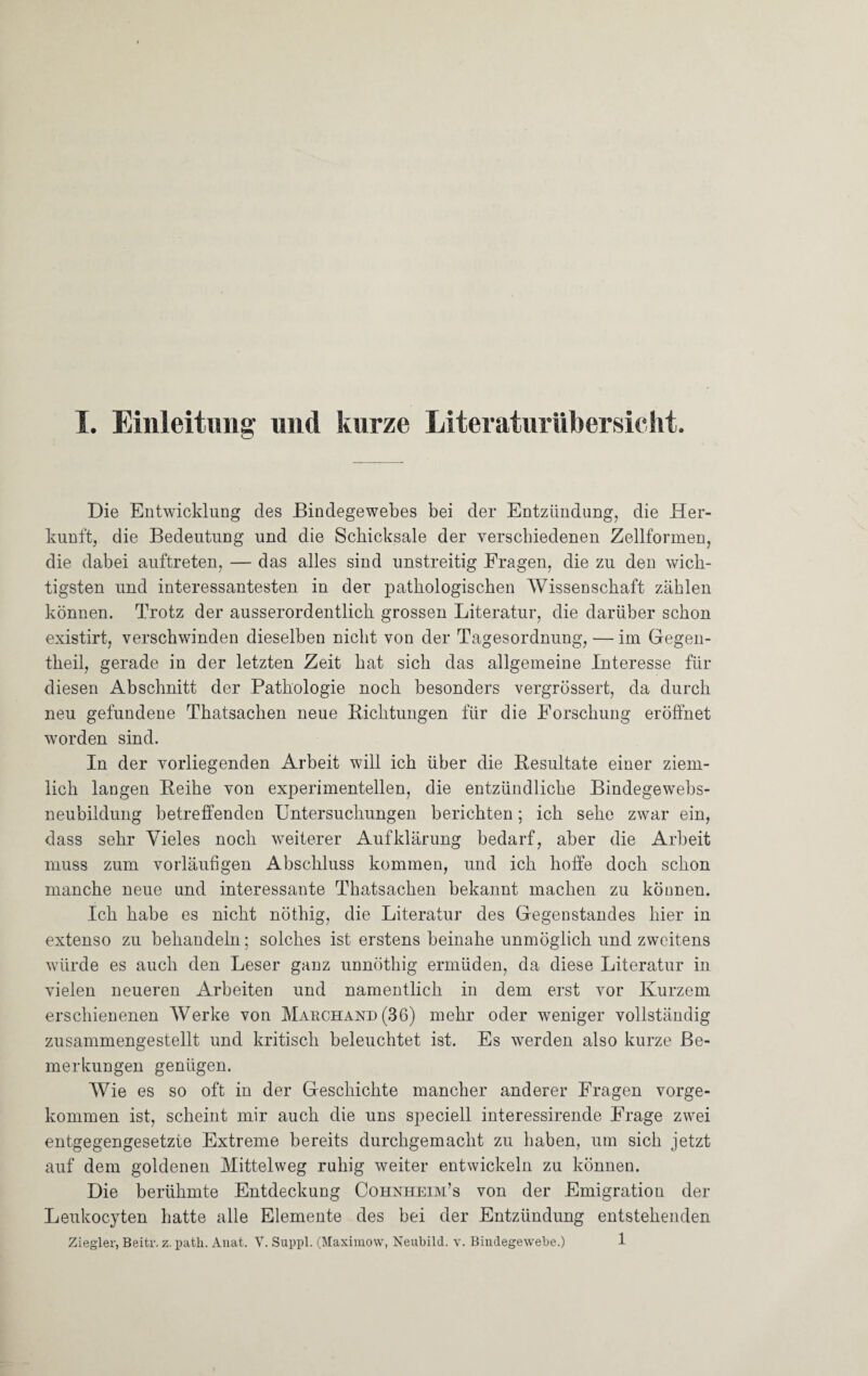 Die Entwicklung des Bindegewebes bei der Entzündung, die Her¬ kunft, die Bedeutung und die Schicksale der verschiedenen Zellformen, die dabei auftreten, — das alles sind unstreitig Fragen, die zu den wich¬ tigsten und interessantesten in der pathologischen Wissenschaft zählen können. Trotz der ausserordentlich grossen Literatur, die darüber schon existirt, verschwinden dieselben nicht von der Tagesordnung, — im Gegen- theil, gerade in der letzten Zeit hat sich das allgemeine Interesse für diesen Abschnitt der Pathologie noch besonders vergrössert, da durch neu gefundene Thatsachen neue Richtungen für die Forschung eröffnet worden sind. In der vorliegenden Arbeit will ich über die Resultate einer ziem¬ lich langen Reihe von experimentellen, die entzündliche Bindegewebs¬ neubildung betreffenden Untersuchungen berichten; ich sehe zwar ein, dass sehr Vieles noch weiterer Aufklärung bedarf, aber die Arbeit muss zum vorläufigen Abschluss kommen, und ich hoffe doch schon manche neue und interessante Thatsachen bekannt machen zu können. Ich habe es nicht nöthig, die Literatur des Gegenstandes hier in extenso zu behandeln; solches ist erstens beinahe unmöglich und zweitens würde es auch den Leser ganz unnöthig ermüden, da diese Literatur in vielen neueren Arbeiten und namentlich in dem erst vor Kurzem erschienenen Werke von Mauchand (36) mehr oder weniger vollständig zusammengestellt und kritisch beleuchtet ist. Es werden also kurze Be¬ merkungen genügen. Wie es so oft in der Geschichte mancher anderer Fragen vorge¬ kommen ist, scheint mir auch die uns speciell interessirende Frage zwei entgegengesetzte Extreme bereits durchgemacht zu haben, um sich jetzt auf dem goldenen Mittelweg ruhig weiter entwickeln zu können. Die berühmte Entdeckung Cohnheim’s von der Emigration der Leukocyten hatte alle Elemente des bei der Entzündung entstehenden Ziegler, Beitr. z. patli. Anat. V. Suppl. (Maximow, Neubild. v. Bindegewebe.) 1