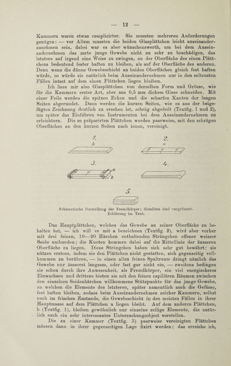 Kammern waren etwas complicirter. Sie mussten mehreren Anforderungen genügen: — vor Allem mussten die beiden Glasplättchen leicht auseinander¬ zunehmen sein, dabei war es aber wünschenswerth, um bei dem Ausein¬ andernehmen das zarte junge Gewebe nicht zu sehr zu beschädigen, das letztere auf irgend eine Weise zu zwingen, an der Oberfläche des einen Plätt¬ chens bedeutend fester haften zu bleiben, als auf der Oberfläche des anderen. Denn wenn die dünne Gewebsschicht an beiden Oberflächen gleich fest haften würde, so würde sie natürlich beim Auseinandernehmen nur in den seltensten Fällen intact auf dem einen Plättchen liegen bleiben. Ich liess mir also Glasplättchen von derselben Form und Grösse, wie für die Kammern erster Art, aber aus 0,5 mm dickem Glase schneiden. Mit einer Feile werden die spitzen Ecken und die scharfen Kanten der langen Seiten abgerundet. Dann werden die kurzen Seiten, wie es aus der beige¬ fügten Zeichnung deutlich zu ersehen ist, schräg abgefeilt (Textfig. 1 und 2), um später das Einführen von Instrumenten bei dem Auseinandernehmen zu erleichtern. Die so präparirten Plättchen werden paarweise, mit den schrägen Oberflächen an den kurzen Seiten nach innen, vereinigt. 2. b Schematische Darstellung der Fremdkörper; dieselben sind vergrössert. Erklärung im Text. Das Hauptplättchen, welches das Gewebe an seiner Oberfläche zu be¬ halten bat, — ich will es mit a bezeichnen (Textfig. 2), wird aber vorher mit drei feinen, 10—20 Härchen enthaltenden Strängchen offener weisser Seide umbunden; die Knoten kommen dabei auf die Mittellinie der äusseren Oberfläche zu liegen. Diese Strängchen haben sich sehr gut bewährt: sie nützen erstens, indem sie den Plättchen nicht gestatten, sich gegenseitig voll¬ kommen zu berühren, — in einen allzu feinen Spaltraum dringt nämlich das Gewebe nur äusserst langsam, oder fast gar nicht ein, — zweitens bedingen sie schon durch ihre Anwesenheit, als Fremdkörper, ein viel energischeres Einwachsen und drittens bieten sie mit den feinen capillären Päumen zwischen den einzelnen Seidenhärchen willkommene Stützpunkte für das junge Gewebe, an welchen die Elemente des letzteren, später namentlich auch die Gefässe, fest haften bleiben, sodass beim Auseinandernehmen solcher Kammern, selbst noch im frischen Zustande, die Gewebsschicht in den meisten Fällen in ihrer Hauptmasse auf dem Plättchen a liegen bleibt. Auf dem anderen Plättchen, b (Textfig. 1), bleiben gewöhnlich nur einzelne zellige Elemente, die natür¬ lich auch ein sehr interessantes Untersuchungsobject vorstellen. Die zu einer Kammer (Textfig. 3) paarweise vereinigten Plättchen müssen dann in ihrer gegenseitigen Lage fixirt werden; das erreiche ich,