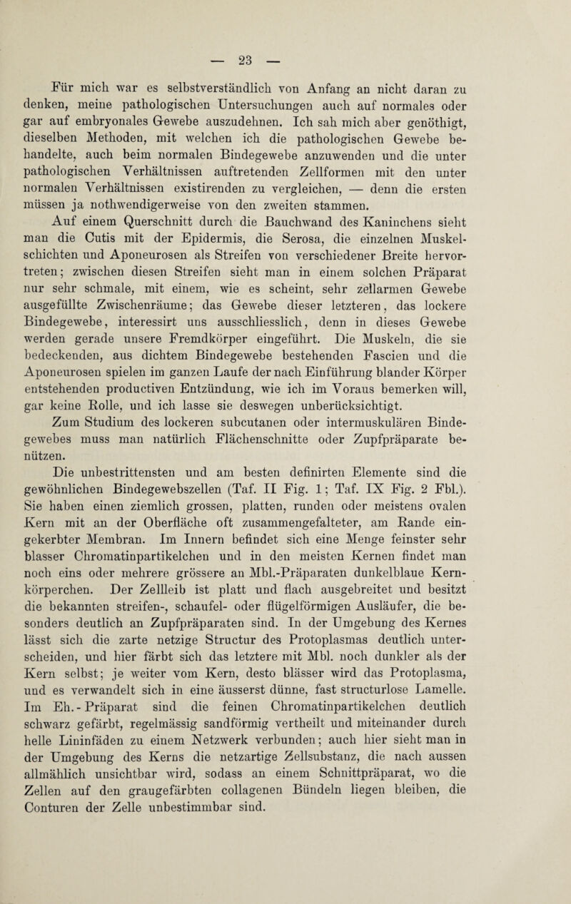 Für mich war es selbstverständlich von Anfang an nicht daran zu denken, meine pathologischen Untersuchungen auch auf normales oder gar auf embryonales Gewebe auszudehnen. Ich sah mich aber genöthigt, dieselben Methoden, mit welchen ich die pathologischen Gewebe be¬ handelte, auch beim normalen Bindegewebe anzuwenden und die unter pathologischen Verhältnissen auftretenden Zellformen mit den unter normalen Verhältnissen existirenden zu vergleichen, — denn die ersten müssen ja nothwendigerweise von den zweiten stammen. Auf einem Querschnitt durch die Bauchwand des Kaninchens sieht man die Cutis mit der Epidermis, die Serosa, die einzelnen Muskel¬ schichten und Aponeurosen als Streifen von verschiedener Breite hervor¬ treten; zwischen diesen Streifen sieht man in einem solchen Präparat nur sehr schmale, mit einem, wie es scheint, sehr zellarmen Gewebe ausgefüllte Zwischenräume; das Gewebe dieser letzteren, das lockere Bindegewebe, interessirt uns ausschliesslich, denn in dieses Gewebe werden gerade unsere Fremdkörper eingeführt. Die Muskeln, die sie bedeckenden, aus dichtem Bindegewebe bestehenden Fascien und die Aponeurosen spielen im ganzen Laufe der nach Einführung blander Körper entstehenden productiven Entzündung, wie ich im Voraus bemerken will, gar keine Bolle, und ich lasse sie deswegen unberücksichtigt. Zum Studium des lockeren subcutanen oder intermuskulären Binde¬ gewebes muss man natürlich Flächenschnitte oder Zupfpräparate be¬ nützen. Die unbestrittensten und am besten definirten Elemente sind die gewöhnlichen Bindegewebszellen (Taf. II Fig. 1; Taf. IX Fig. 2 Fbl.). Sie haben einen ziemlich grossen, platten, runden oder meistens ovalen Kern mit an der Oberfläche oft zusammengefalteter, am Bande ein¬ gekerbter Membran. Im Innern befindet sich eine Menge feinster sehr blasser Chromatinpartikelchen und in den meisten Kernen findet man noch eins oder mehrere grössere an Mbl.-Präparaten dunkelblaue Kern¬ körperchen. Der Zellleib ist platt und flach ausgebreitet und besitzt die bekannten streifen-, schaufei- oder flügelförmigen Ausläufer, die be¬ sonders deutlich an Zupfpräparaten sind. In der Umgebung des Kernes lässt sich die zarte netzige Structur des Protoplasmas deutlich unter¬ scheiden, und hier färbt sich das letztere mit Mbl. noch dunkler als der Kern selbst; je weiter vom Kern, desto blässer wird das Protoplasma, und es verwandelt sich in eine äusserst dünne, fast structurlose Lamelle. Im Eh. - Präparat sind die feinen Chromatinpartikelchen deutlich schwarz gefärbt, regelmässig sandförmig vertheilt und miteinander durch helle Lininfäden zu einem Netzwerk verbunden; auch hier sieht man in der Umgebung des Kerns die netzartige Zellsubstanz, die nach aussen allmählich unsichtbar wird, so dass an einem Schnittpräparat, wo die Zellen auf den graugefärbten collagenen Bündeln liegen bleiben, die Conturen der Zelle unbestimmbar sind.