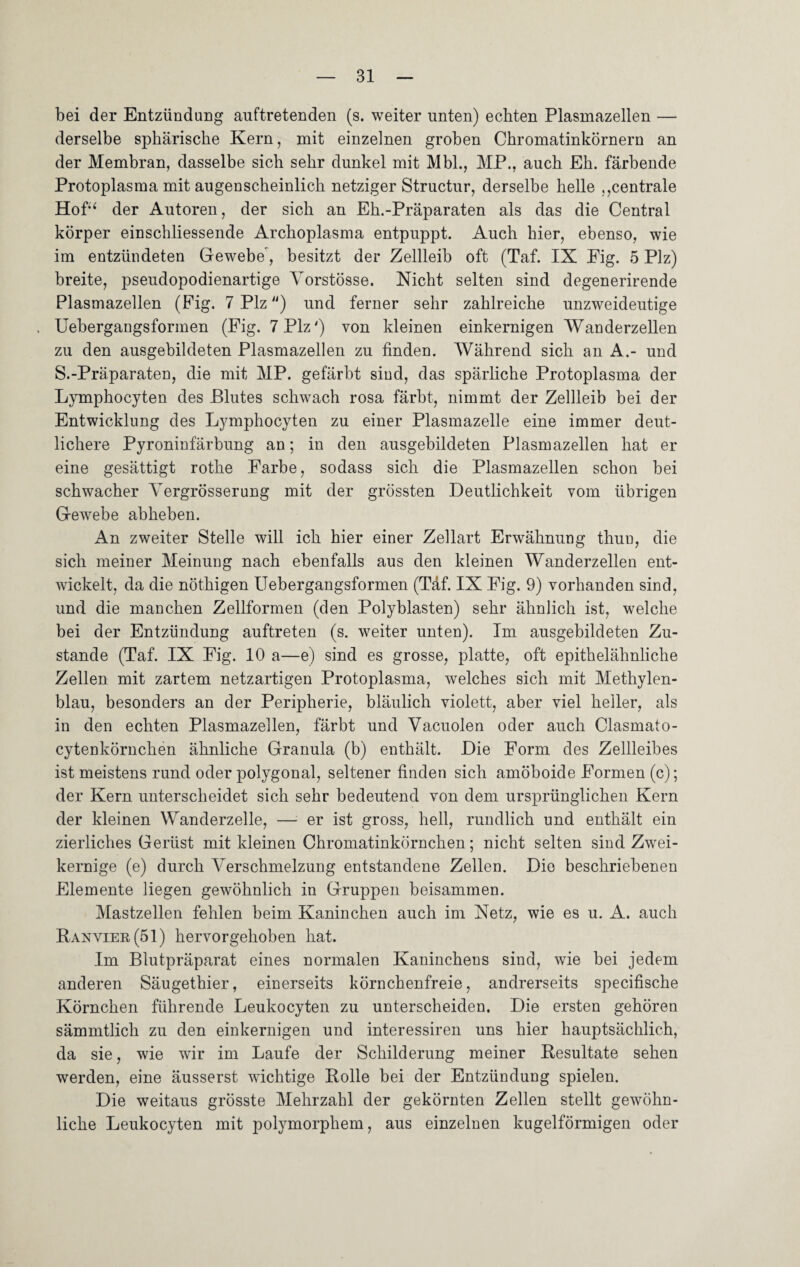 bei der Entzündung auftretenden (s. weiter unten) echten Plasmazellen — derselbe sphärische Kern, mit einzelnen groben Chromatinkörnern an der Membran, dasselbe sich sehr dunkel mit Mbl., MP., auch Eh. färbende Protoplasma mit augenscheinlich netziger Structur, derselbe helle .,centrale Hofu der Autoren, der sich an Eh.-Präparaten als das die Central körper einschliessende Archoplasma entpuppt. Auch hier, ebenso, wie im entzündeten Gewebe, besitzt der Zellleib oft (Taf. IX Eig. 5 Piz) breite, pseudopodienartige Yorstösse. Nicht selten sind degenerirende Plasmazellen (Pig. 7 Piz) und ferner sehr zahlreiche unzweideutige Uebergangsformen (Pig. 7 Piz') von kleinen einkernigen Wanderzellen zu den ausgebildeten Plasmazellen zu finden. Während sich an A.- und S.-Präparaten, die mit MP. gefärbt sind, das spärliche Protoplasma der Lymphocyten des Blutes schwach rosa färbt, nimmt der Zellleib bei der Entwicklung des Lymphocyten zu einer Plasmazelle eine immer deut¬ lichere Pyroninfärbung an; in den ausgebildeten Plasmazellen hat er eine gesättigt rothe Farbe, sodass sich die Plasmazellen schon bei schwacher Yergrösserung mit der grössten Deutlichkeit vom übrigen Gewebe abheben. An zweiter Stelle will ich hier einer Zellart Erwähnung thun, die sich meiner Meinung nach ebenfalls aus den kleinen Wanderzellen ent¬ wickelt, da die nöthigen Uebergangsformen (Täf. IX Fig. 9) vorhanden sind, und die manchen Zellformen (den Polyblasten) sehr ähnlich ist, welche bei der Entzündung auftreten (s. weiter unten). Im ausgebikleten Zu¬ stande (Taf. IX Fig. 10 a—e) sind es grosse, platte, oft epithelähnliche Zellen mit zartem netzartigen Protoplasma, welches sich mit Methylen¬ blau, besonders an der Peripherie, bläulich violett, aber viel heller, als in den echten Plasmazellen, färbt und Yacuolen oder auch Clasmato- cytenkörnchen ähnliche Granula (b) enthält. Die Form des Zellleibes ist meistens rund oder polygonal, seltener finden sich amöboide Formen (c); der Kern unterscheidet sich sehr bedeutend von dem ursprünglichen Kern der kleinen Wanderzelle, —1 er ist gross, hell, rundlich und enthält ein zierliches Gerüst mit kleinen Chromatinkörnchen; nicht selten sind Zwei- kernige (e) durch Yerschmelzung entstandene Zellen. Die beschriebenen Elemente liegen gewöhnlich in Gruppen beisammen. Mastzellen fehlen beim Kaninchen auch im Netz, wie es u. A. auch Ranvier (51) hervorgehoben hat. Im Blutpräparat eines normalen Kaninchens sind, wie bei jedem anderen Säugethier, einerseits körnchenfreie, andrerseits specifische Körnchen führende Leukocyten zu unterscheiden. Die ersten gehören sämmtlich zu den einkernigen und interessiren uns hier hauptsächlich, da sie, wie wir im Laufe der Schilderung meiner Resultate sehen werden, eine äusserst wichtige Rolle bei der Entzündung spielen. Die weitaus grösste Mehrzahl der gekörnten Zellen stellt gewöhn¬ liche Leukocyten mit polymorphem, aus einzelnen kugelförmigen oder