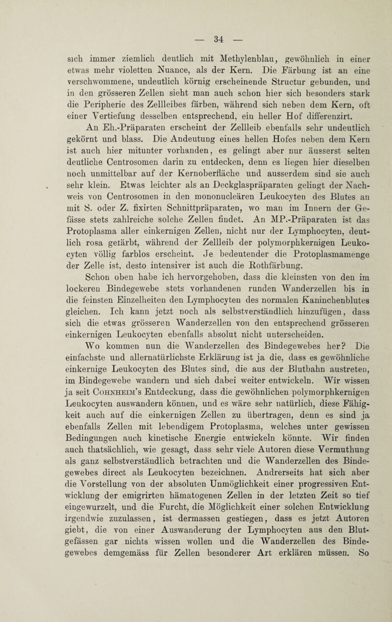 sich immer ziemlich deutlich mit Methylenblau, gewöhnlich in einer etwas mehr violetten Nuance, als der Kern. Die Färbung ist an eine verschwommene, undeutlich körnig erscheinende Structur gebunden, und in den grösseren Zellen sieht man auch schon hier sich besonders stark die Peripherie des Zellleibes färben, während sich neben dem Kern, oft einer Vertiefung desselben entsprechend, ein heller Hof differenzirt. An Eh.-Präparaten erscheint der Zellleib ebenfalls sehr undeutlich gekörnt und blass. Die Andeutung eines hellen Hofes neben dem Kern ist auch hier mitunter vorhanden, es gelingt aber nur äusserst selten deutliche Centrosomen darin zu entdecken, denn es liegen hier dieselben noch unmittelbar auf der Kernoberfläche und ausserdem sind sie auch sehr klein. Etwas leichter als an Deckglaspräparaten gelingt der Nach¬ weis von Centrosomen in den mononucleären Leukocyten des Blutes an mit S. oder Z. fixirten Schnittpräparaten, wo man im Innern der Ge¬ lasse stets zahlreiche solche Zellen findet. An MP.-Präparaten ist das Protoplasma aller einkernigen Zellen, nicht nur der Lymphocyten, deut¬ lich rosa getärbt, während der Zellleib der polymorphkernigen Leuko¬ cyten völlig farblos erscheint. Je bedeutender die Protoplasmamenge der Zelle ist, desto intensiver ist auch die Bothfärbung. Schon oben habe ich hervorgehoben, dass die kleinsten von den im lockeren Bindegewebe stets vorhandenen runden Wanderzellen bis in die feinsten Einzelheiten den Lymphocyten des normalen Kaninchenblutes gleichen. Ich kann jetzt noch als selbstverständlich hinzufügen, dass sich die etwas grösseren Wanderzellen von den entsprechend grösseren einkernigen Leukocyten ebenfalls absolut nicht unterscheiden. Wo kommen nun die Wanderzellen des Bindegewebes her? Die einfachste und allernatürlichste Erklärung ist ja die, das9 es gewöhnliche einkernige Leukocyten des Blutes sind, die aus der Blutbahn austreten, im Bindegewebe wandern und sich dabei weiter entwickeln. Wir wissen ja seit Cohnheim’s Entdeckung, dass die gewöhnlichen polymorphkernigen Leukocyten auswandern können, und es wäre sehr natürlich, diese Fähig¬ keit auch auf die einkernigen Zellen zu übertragen, denn es sind ja ebenfalls Zellen mit lebendigem Protoplasma, welches unter gewissen Bedingungen auch kinetische Energie entwickeln könnte. Wir finden auch thatsächlich, wie gesagt, dass sehr viele Autoren diese Vermuthung als ganz selbstverständlich betrachten und die Wanderzellen des Binde¬ gewebes direct als Leukocyten bezeichnen. Andrerseits hat sich aber die Vorstellung von der absoluten Unmöglichkeit einer progressiven Ent¬ wicklung der emigrirten hämatogenen Zellen in der letzten Zeit so tief eingewurzelt, und die Furcht, die Möglichkeit einer solchen Entwicklung irgendwie zuzulassen, ist dermassen gestiegen, dass es jetzt Autoren giebt, die von einer Auswanderung der Lymphocyten aus den Blut¬ gefässen gar nichts wissen wollen und die Wanderzellen des Binde¬ gewebes demgemäss für Zellen besonderer Art erklären müssen. So