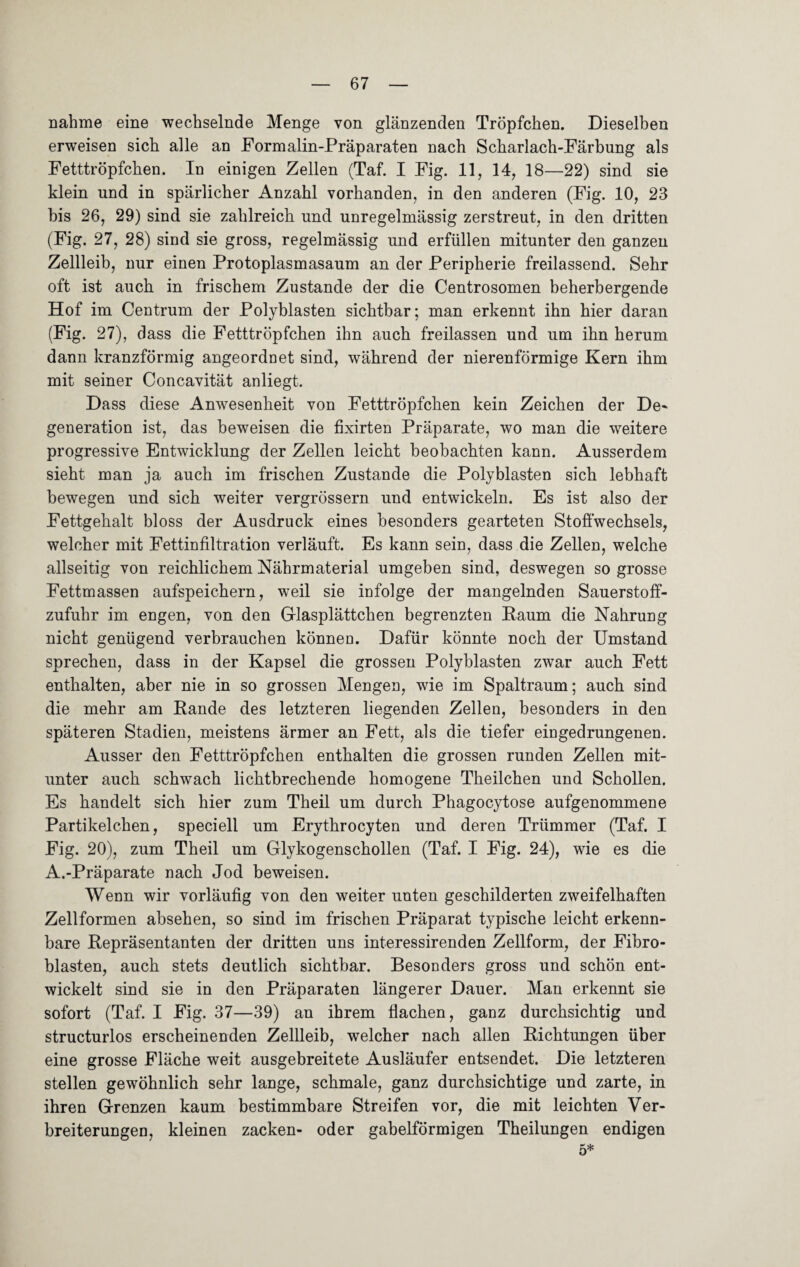 nähme eine wechselnde Menge von glänzenden Tröpfchen. Dieselben erweisen sich alle an Formalin-Präparaten nach Scharlach-Färbung als Fetttröpfchen. In einigen Zellen (Taf. I Fig. 11, 14, 18—22) sind sie klein und in spärlicher Anzahl vorhanden, in den anderen (Fig. 10, 23 bis 26, 29) sind sie zahlreich und unregelmässig zerstreut, in den dritten (Fig. 27, 28) sind sie gross, regelmässig und erfüllen mitunter den ganzen Zellleib, nur einen Protoplasmasaum an der Peripherie freilassend. Sehr oft ist auch in frischem Zustande der die Centrosomen beherbergende Hof im Centrum der Polyblasten sichtbar; man erkennt ihn hier daran (Fig. 27), dass die Fetttröpfchen ihn auch freilassen und um ihn herum dann kranzförmig angeordnet sind, während der nierenförmige Kern ihm mit seiner Concavität anliegt. Dass diese Anwesenheit von Fetttröpfchen kein Zeichen der De¬ generation ist, das beweisen die fixirten Präparate, wo man die wTeitere progressive Entwicklung der Zellen leicht beobachten kann. Ausserdem sieht man ja auch im frischen Zustande die Polyblasten sich lebhaft bewegen und sich weiter vergrössern und entwickeln. Es ist also der Fettgehalt bloss der Ausdruck eines besonders gearteten Stoffwechsels, welcher mit Fettinfiltration verläuft. Es kann sein, dass die Zellen, welche allseitig von reichlichem Nährmaterial umgeben sind, deswegen so grosse Fettmassen aufspeichern, weil sie infolge der mangelnden Sauerstoff¬ zufuhr im engen, von den Glasplättchen begrenzten Kaum die Nahrung nicht genügend verbrauchen können. Dafür könnte noch der Umstand sprechen, dass in der Kapsel die grossen Polyblasten zwar auch Fett enthalten, aber nie in so grossen Mengen, wie im Spaltraum; auch sind die mehr am Rande des letzteren liegenden Zellen, besonders in den späteren Stadien, meistens ärmer an Fett, als die tiefer eingedrungenen. Ausser den Fetttröpfchen enthalten die grossen runden Zellen mit¬ unter auch schwach lichtbrechende homogene Theilchen und Schollen. Es handelt sich hier zum Theil um durch Phagocytose aufgenommene Partikelchen, speciell um Erythrocyten und deren Trümmer (Taf. I Fig. 20), zum Theil um Glykogenschollen (Taf. I Fig. 24), wie es die A.-Präparate nach Jod beweisen. Wenn wir vorläufig von den weiter unten geschilderten zweifelhaften Zellformen absehen, so sind im frischen Präparat typische leicht erkenn¬ bare Repräsentanten der dritten uns interessirenden Zellform, der Fibro¬ blasten, auch stets deutlich sichtbar. Besonders gross und schön ent¬ wickelt sind sie in den Präparaten längerer Dauer. Man erkennt sie sofort (Taf. I Fig. 37—39) an ihrem flachen, ganz durchsichtig und structurlos erscheinenden Zellleib, welcher nach allen Richtungen über eine grosse Fläche weit ausgebreitete Ausläufer entsendet. Die letzteren stellen gewöhnlich sehr lange, schmale, ganz durchsichtige und zarte, in ihren Grenzen kaum bestimmbare Streifen vor, die mit leichten Ver¬ breiterungen, kleinen zacken- oder gabelförmigen Theilungen endigen 5*