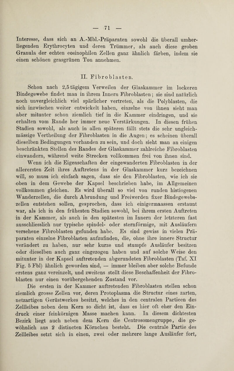 Interesse, dass sich an A.-Mbl.-Präparaten sowohl die überall umher¬ liegenden Erythrocyten und deren Trümmer, als auch diese groben Granula der echten eosinophilen Zellen ganz ähnlich färben, indem sie einen schönen grasgrünen Ton annehmen. II. Fibroblasten. Schon nach 2,5 tägigem Verweilen der Glaskammer im lockeren Bindegewebe findet man in ihrem Innern Fibroblasten; sie sind natürlich noch unvergleichlich viel spärlicher vertreten, als die Polyblasten, die sich inzwischen weiter entwickelt haben, einzelne von ihnen sieht man aber mitunter schon ziemlich tief in die Kammer eindringen, und sie erhalten vom Bande her immer neue Verstärkungen. In diesen frühen Stadien sowohl, als auch in allen späteren fällt stets die sehr ungleich- mässige Vertheilung der Fibroblasten in die Augen; es scheinen überall dieselben Bedingungen vorhanden zu sein, und doch sieht man an einigen beschränkten Stellen des Randes der Glaskammer zahlreiche Fibroblasten einwandern, während weite Strecken vollkommen frei von ihnen sind. Wenn ich die Eigenschaften der eingewanderten Fibroblasten in der allerersten Zeit ihres Auftretens in der Glaskammer kurz bezeichnen will, so muss ich einfach sagen, dass sie den Fibroblasten, wie ich sie oben in dem Gewebe der Kapsel beschrieben habe, im Allgemeinen vollkommen gleichen. Es wird überall so viel von runden histiogenen Wanderzellen, die durch Abrundung und Freiwerden fixer Bindegewebs¬ zellen entstehen sollen, gesprochen, dass ich einigermaassen erstaunt war, als ich in den frühesten Stadien sowohl, bei ihrem ersten Auftreten in der Kammer, als auch in den spätesten im Innern der letzteren fast ausschliesslich nur typische spindel- oder sternförmige, mit Ausläufern versehene Fibroblasten gefunden habe. Es sind gewiss in vielen Prä¬ paraten einzelne Fibroblasten aufzufinden, die, ohne ihre innere Structur verändert zu haben, nur sehr kurze und stumpfe Ausläufer besitzen oder dieselben auch ganz eingezogen haben und auf solche Weise den mitunter in der Kapsel auftretenden abgerundeten Fibroblasten (Taf. XI Fig. 5 Fbl) ähnlich geworden sind, — immer bleiben aber solche Befunde erstens ganz vereinzelt, und zweitens stellt diese Beschaffenheit der Fibro¬ blasten nur einen vorübergehenden Zustand vor. Eie ersten in der Kammer auftretenden Fibroblasten stellen schon ziemlich grosse Zellen vor, deren Protoplasma die Structur eines zarten, netzartigen Gerüstwerkes besitzt, welches in den centralen Partieen des Zellleibes neben dem Kern so dicht ist, dass es hier oft eher den Ein¬ druck einer feinkörnigen Masse machen kann. In diesem dichtesten Bezirk liegt auch neben dem Kern die Centrosomengruppe, die ge¬ wöhnlich aus 2 distincten Körnchen besteht. Die centrale Partie des Zellleibes setzt sich in einen, zwei oder mehrere lange Ausläufer fort,