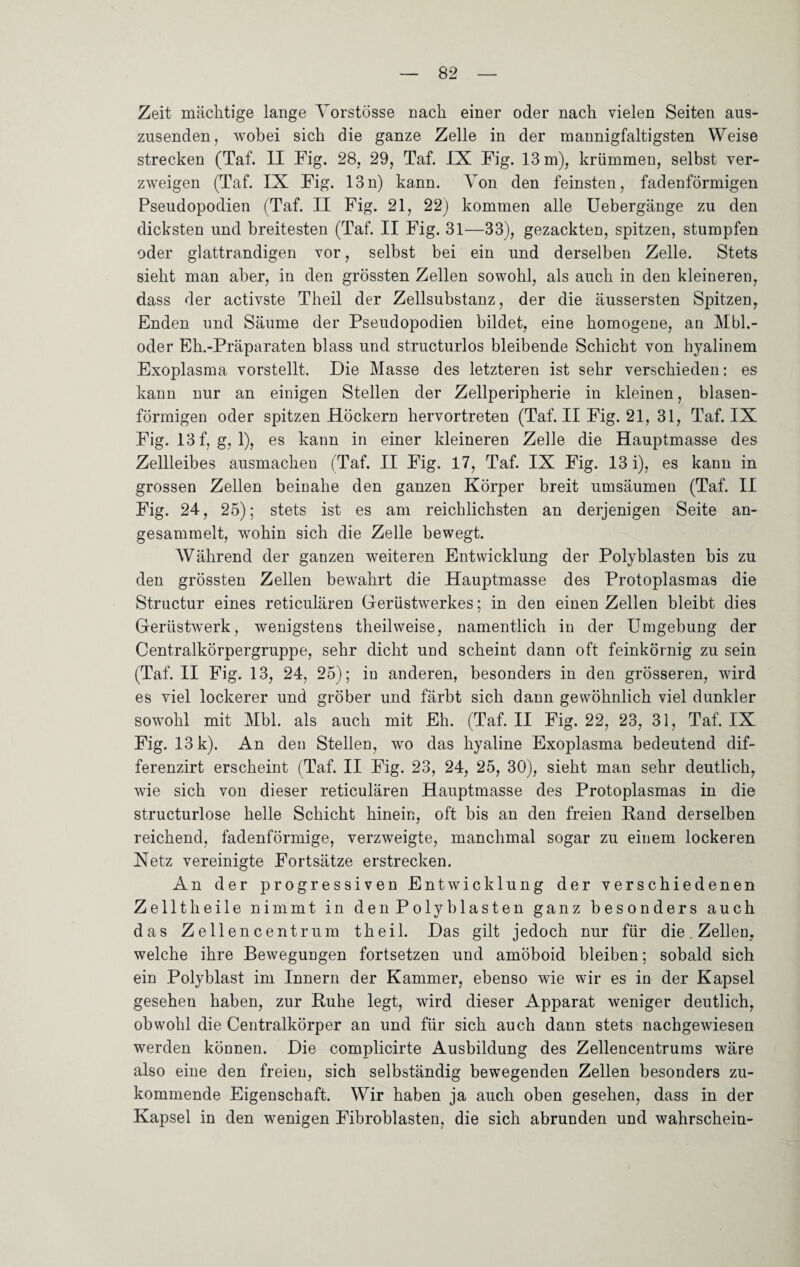 Zeit mächtige lange Vorstösse nach einer oder nach vielen Seiten aus¬ zusenden, wobei sich die ganze Zelle in der mannigfaltigsten Weise strecken (Taf. II Fig. 28, 29, Taf. IX Fig. 13 m), krümmen, selbst ver¬ zweigen (Taf. IX Fig. 13n) kann. Ton den feinsten, fadenförmigen Pseudopodien (Taf. II Fig. 21, 22) kommen alle Uebergänge zu den dicksten und breitesten (Taf. II Fig. 31—33), gezackten, spitzen, stumpfen oder glattrandigen vor, selbst bei ein und derselben Zelle. Stets sieht man aber, in den grössten Zellen sowohl, als auch in den kleineren, dass der activste Theil der Zellsubstanz, der die äussersten Spitzen, Enden und Säume der Pseudopodien bildet, eine homogene, an Mbl.- oder Eh.-Präparaten blass und structurlos bleibende Schicht von hyalinem Exoplasma vorstellt. Die Masse des letzteren ist sehr verschieden: es kann nur an einigen Stellen der Zellperipherie in kleinen, blasen¬ förmigen oder spitzen Höckern hervortreten (Taf. II Fig. 21, 31, Taf. IX Fig. 13 f, g, 1), es kann in einer kleineren Zelle die Hauptmasse des Zellleibes ausmachen (Taf. II Fig. 17, Taf. IX Fig. 13 i), es kann in grossen Zellen beinahe den ganzen Körper breit umsäumen (Taf. II Fig. 24, 25); stets ist es am reichlichsten an derjenigen Seite an¬ gesammelt, wohin sich die Zelle bewegt. Während der ganzen weiteren Entwicklung der Polyblasten bis zu den grössten Zellen bewahrt die Hauptmasse des Protoplasmas die Structur eines reticulären Gerüstwerkes; in den einen Zellen bleibt dies Gerüstwerk, wenigstens theilweise, namentlich in der Umgebung der Centralkörpergruppe, sehr dicht und scheint dann oft feinkörnig zu sein (Taf. II Fig. 13, 24, 25); in anderen, besonders in den grösseren, wird es viel lockerer und gröber und färbt sich dann gewöhnlich viel dunkler sowohl mit Mbl. als auch mit Eh. (Taf. II Fig. 22, 23, 31, Taf. IX Fig. 13 k). An den Stellen, wo das hyaline Exoplasma bedeutend dif- ferenzirt erscheint (Taf. II Fig. 23, 24, 25, 30), sieht man sehr deutlich, wie sich von dieser reticulären Hauptmasse des Protoplasmas in die structurlose helle Schicht hinein, oft bis an den freien Fand derselben reichend, fadenförmige, verzweigte, manchmal sogar zu einem lockeren Xetz vereinigte Fortsätze erstrecken. An der progressiven Entwicklung der verschiedenen Zellt heile nimmt in den Polyblasten ganz besonders auch das Zellencentrum theil. Das gilt jedoch nur für die. Zellen, welche ihre Bewegungen fortsetzen und amöboid bleiben; sobald sich ein Polyblast im Innern der Kammer, ebenso wie wir es in der Kapsel gesehen haben, zur Buhe legt, wird dieser Apparat weniger deutlich, obwohl die Centralkörper an und für sich auch dann stets nachgewiesen werden können. Die complicirte Ausbildung des Zellencentrums wäre also eine den freien, sich selbständig bewegenden Zellen besonders zu¬ kommende Eigenschaft. Wir haben ja auch oben gesehen, dass in der Kapsel in den wenigen Fibroblasten, die sich abrunden und wahrschein-