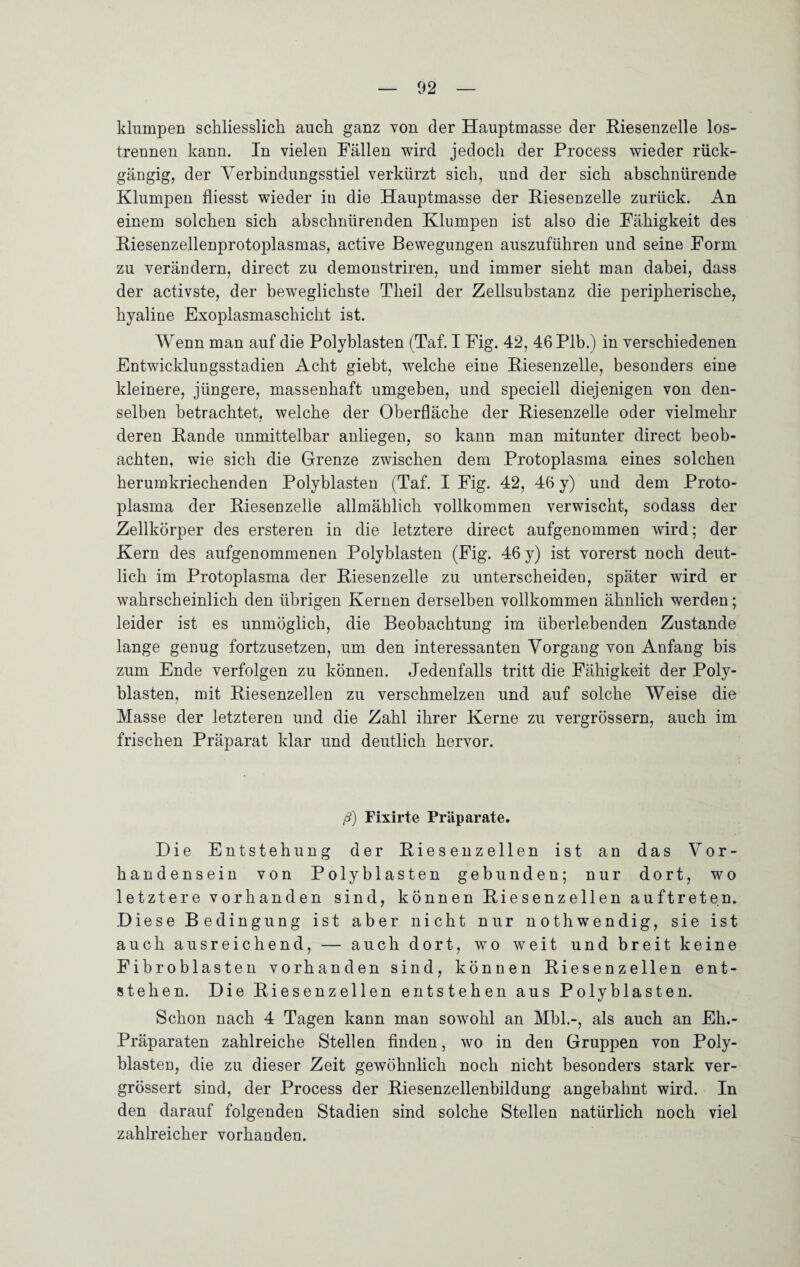 klumpen schliesslich auch ganz von der Hauptmasse der Riesenzelle los¬ trennen kann. In vielen Fällen wird jedoch der Process wieder rück¬ gängig, der Verbindungsstiel verkürzt sich, und der sich abschnürende Klumpen fliesst wieder in die Hauptmasse der Riesenzelle zurück. An einem solchen sich abschnürenden Klumpen ist also die Fähigkeit des Riesenzellenprotoplasmas, active Bewegungen auszuführen und seine Form zu verändern, direct zu demonstriren, und immer sieht man dabei, dass der activste, der beweglichste Theil der Zellsubstanz die peripherische, hyaline Exoplasmaschicht ist. Wenn man auf die Polyblasten (Taf. I Fig. 42, 46Plb.) in verschiedenen Entwicklungsstadien Acht giebt, welche eine Riesenzelle, besonders eine kleinere, jüngere, massenhaft umgeben, und speciell diejenigen von den¬ selben betrachtet, welche der Oberfläche der Riesenzelle oder vielmehr deren Rande unmittelbar anliegen, so kann man mitunter direct beob¬ achten, wie sich die Grenze zwischen dem Protoplasma eines solchen herumkriechenden Polyblasten (Taf. I Fig. 42, 46 y) und dem Proto¬ plasma der Riesenzelle allmählich vollkommen verwischt, sodass der Zellkörper des ersteren in die letztere direct aufgenommen wird; der Kern des aufgenommenen Polyblasten (Fig. 46 y) ist vorerst noch deut¬ lich im Protoplasma der Riesenzelle zu unterscheiden, später wird er wahrscheinlich den übrigen Kernen derselben vollkommen ähnlich werden; leider ist es unmöglich, die Beobachtung im überlebenden Zustande lange genug fortzusetzen, um den interessanten Vorgang von Anfang bis zum Ende verfolgen zu können. Jedenfalls tritt die Fähigkeit der Poly¬ blasten, mit Riesenzellen zu verschmelzen und auf solche Weise die Masse der letzteren und die Zahl ihrer Kerne zu vergrössern, auch im frischen Präparat klar und deutlich hervor. ß) Fixirte Präparate. Die Entstehung der Riesenzellen ist an das Vor¬ handensein von Polyblasten gebunden; nur dort, wo letztere vorhanden sind, können Riesenzellen auftreten. Diese Bedingung ist aber nicht nur nothwendig, sie ist auch ausreichend, — auch dort, wo weit und breit keine Fibroblasten vorhanden sind, können Riesenzellen ent¬ stehen. Die Riesenzellen entstehen aus Polyblasten. Schon nach 4 Tagen kann man sowohl an Mbl.-, als auch an Eh.- Präparaten zahlreiche Stellen finden, wo in den Gruppen von Poly¬ blasten, die zu dieser Zeit gewöhnlich noch nicht besonders stark ver- grössert sind, der Process der Riesenzellenbildung angebahnt wird. In den darauf folgenden Stadien sind solche Stellen natürlich noch viel zahlreicher vorhanden.