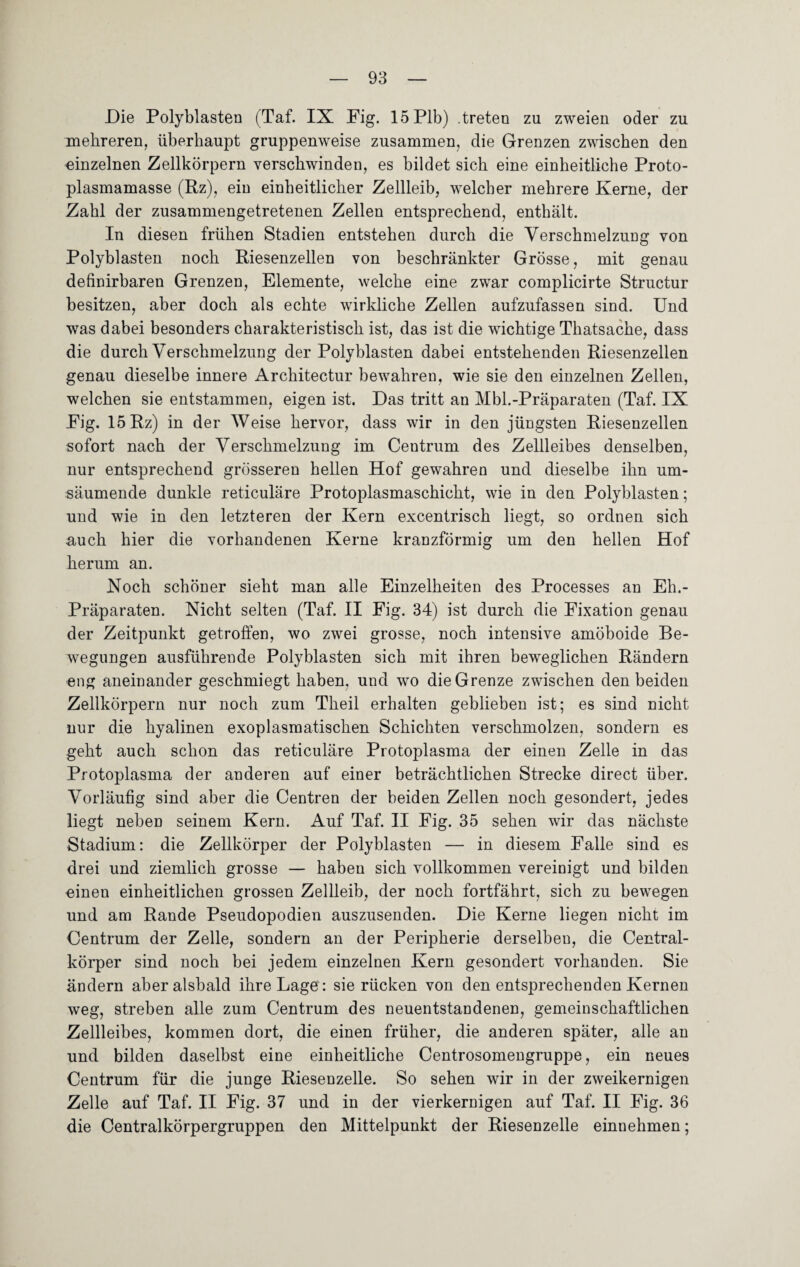 Die Polyblasten (Taf. IX Fig. 15Plb) .treten zu zweien oder zu mehreren, überhaupt gruppenweise zusammen, die Grenzen zwischen den einzelnen Zellkörpern verschwinden, es bildet sich eine einheitliche Proto¬ plasmamasse (Rz), ein einheitlicher Zellleib, welcher mehrere Kerne, der Zahl der zusammengetretenen Zellen entsprechend, enthält. In diesen frühen Stadien entstehen durch die Verschmelzung von Polyblasten noch Riesenzellen von beschränkter Grösse, mit genau definirbaren Grenzen, Elemente, welche eine zwar complicirte Structur besitzen, aber doch als echte wirkliche Zellen aufzufassen sind. Und was dabei besonders charakteristisch ist, das ist die wichtige Thatsache, dass die durch Verschmelzung der Polyblasten dabei entstehenden Riesenzellen genau dieselbe innere Architectur bewahren, wie sie den einzelnen Zellen, welchen sie entstammen, eigen ist. Das tritt an Mbl.-Präparaten (Taf. IX Fig. 15 Rz) in der Weise hervor, dass wir in den jüngsten Riesenzellen sofort nach der Verschmelzung im Centrum des Zellleibes denselben, nur entsprechend grösseren hellen Hof gewahren und dieselbe ihn um¬ säumende dunkle reticuläre Protoplasmaschicht, wie in den Polyblasten; und wie in den letzteren der Kern excentrisch liegt, so ordnen sich auch hier die vorhandenen Kerne kranzförmig um den hellen Hof herum an. Noch schöner sieht man alle Einzelheiten des Processes an Eh.- Präparaten. Nicht selten (Taf. II Fig. 34) ist durch die Fixation genau der Zeitpunkt getroffen, wo zwei grosse, noch intensive amöboide Be¬ wegungen ausführende Polyblasten sich mit ihren beweglichen Rändern eng aneinander geschmiegt haben, und wo die Grenze zwischen den beiden Zellkörpern nur noch zum Theil erhalten geblieben ist; es sind nicht nur die hyalinen exoplasmatischen Schichten verschmolzen, sondern es geht auch schon das reticuläre Protoplasma der einen Zelle in das Protoplasma der anderen auf einer beträchtlichen Strecke direct über. Vorläufig sind aber die Centren der beiden Zellen noch gesondert, jedes liegt neben seinem Kern. Auf Taf. II Fig. 35 sehen wir das nächste Stadium: die Zellkörper der Polyblasten — in diesem Falle sind es drei und ziemlich grosse — haben sich vollkommen vereinigt und bilden einen einheitlichen grossen Zellleib, der noch fortfährt, sich zu bewegen und am Rande Pseudopodien auszusenden. Die Kerne liegen nicht im Centrum der Zelle, sondern an der Peripherie derselben, die Central¬ körper sind noch bei jedem einzelnen Kern gesondert vorhanden. Sie ändern aber alsbald ihre Lage : sie rücken von den entsprechenden Kernen weg, streben alle zum Centrum des neuentstandenen, gemeinschaftlichen Zellleibes, kommen dort, die einen früher, die anderen später, alle an und bilden daselbst eine einheitliche Centrosomengruppe, ein neues Centrum für die junge Riesenzelle. So sehen wir in der zweikernigen Zelle auf Taf. II Fig. 37 und in der vierkernigen auf Taf. II Fig. 36 die Centralkörpergruppen den Mittelpunkt der Riesenzelle einnehmen;