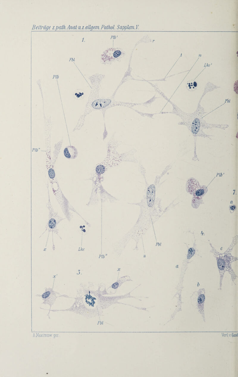Beiträge z.path.Anat.u.z.aUgem.Pathol. Supplem.V.