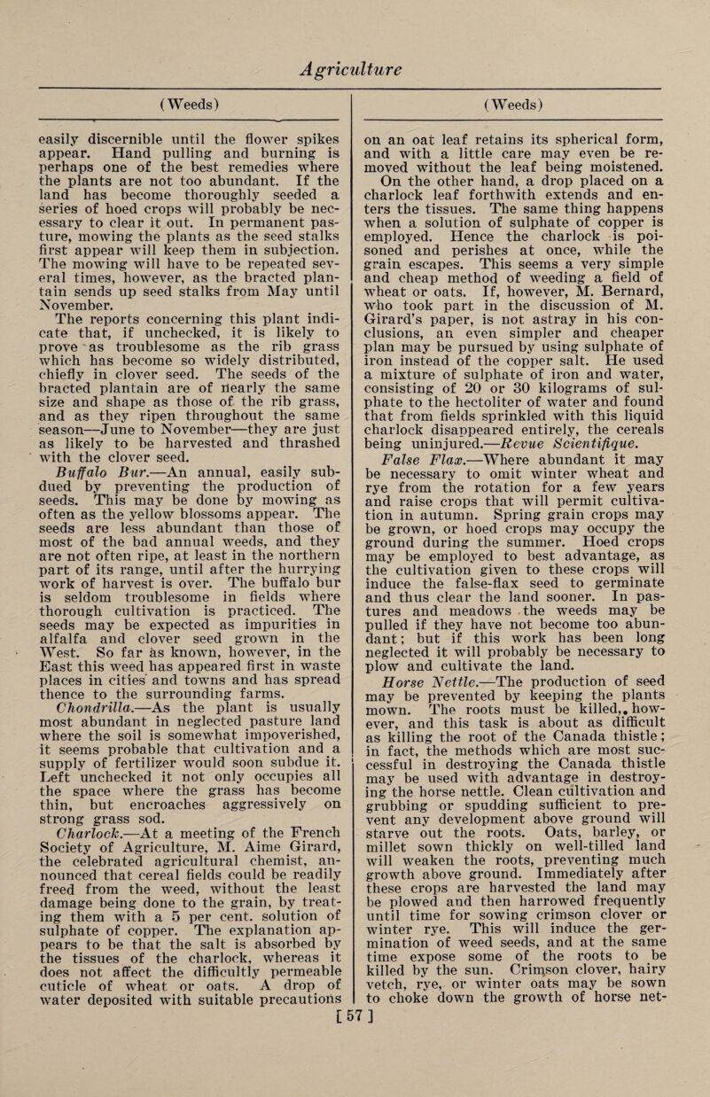 easily discernible until the flower spikes appear. Hand pulling and burning is perhaps one of the best remedies where the plants are not too abundant. If the land has become thoroughly seeded a series of hoed crops will probably be nec¬ essary to clear it out. In permanent pas¬ ture, mowing the plants as the seed stalks first appear will keep them in subjection. The mowing will have to be repeated sev¬ eral times, however, as the bracted plan¬ tain sends up seed stalks from May until November. The reports concerning this plant indi¬ cate that, if unchecked, it is likely to prove as troublesome as the rib grass which has become so widely distributed, chiefly in clover seed. The seeds of the bracted plantain are of Pearly the same size and shape as those of the rib grass, and as they ripen throughout the same season—June to November—they are just as likely to be harvested and thrashed with the clover seed. Buffalo Bur.—An annual, easily sub¬ dued by preventing the production of seeds. This may be done by mowing as often as the yellow blossoms appear. The seeds are less abundant than those of most of the bad annual weeds, and they are not often ripe, at least in the northern part of its range, until after the hurrying work of harvest is over. The buffalo bur is seldom troublesome in fields where thorough cultivation is practiced. _ The seeds may be expected as impurities in alfalfa and clover seed grown in the West. So far as known, however, in the East this weed has appeared first in waste places in cities' and towns and has spread thence to the surrounding farms. Chondrilla.—As the plant is usually most abundant in neglected pasture land where the soil is somewhat impoverished, it seems probable that cultivation and a supply of fertilizer would soon subdue it. Left unchecked it not only occupies all the space where the grass has become thin, but encroaches aggressively on strong grass sod. Charlock.—At a meeting of the French Society of Agriculture, M. Aime Girard, the celebrated agricultural chemist, an¬ nounced that cereal fields could be readily freed from the weed, without the least damage being done to the grain, by treat¬ ing them with a 5 per cent, solution of sulphate of copper. The explanation ap¬ pears to be that the salt is absorbed by the tissues of the charlock, whereas it does not affect the difficultly permeable cuticle of wheat or oats. A drop of water deposited with suitable precautions on an oat leaf retains its spherical form, and with a little care may even be re¬ moved without the leaf being moistened. On the other hand, a drop placed on a charlock leaf forthwith extends and en¬ ters the tissues. The same thing happens when a solution of sulphate of copper is employed. Hence the charlock is poi¬ soned and perishes at once, while the grain escapes. This seems a very simple and cheap method of weeding a field of wheat or oats. If, however, M. Bernard, who took part in the discussion of M. Girard’s paper, is not astray in his con¬ clusions, an even simpler and cheaper plan may be pursued by using sulphate of iron instead of the copper salt. He used a mixture of sulphate of iron and water, consisting of 20 or 30 kilograms of sul¬ phate to the hectoliter of water and found that from fields sprinkled with this liquid charlock disappeared entirely, the cereals being uninjured.—Revue Scientifique. False Flax.—Where abundant it may be necessary to omit winter wheat and rye from the rotation for a few years and raise crops that will permit cultiva¬ tion in autumn. Spring grain crops may be grown, or hoed crops may occupy the ground during the summer. Hoed crops may be employed to best advantage, as the cultivation given to these crops will induce the false-flax seed to germinate and thus clear the land sooner. In pas¬ tures and meadows the weeds may be pulled if they have not become too abun¬ dant ; but if this work has been long neglected it will probably be necessary to plow and cultivate the land. Horse Nettle.—The production of seed may be prevented by keeping the plants mown. The roots must be killed,, how¬ ever, and this task is about as difficult as killing the root of the Canada thistle; in fact, the methods which are most suc¬ cessful in destroying the Canada thistle may be used with advantage in destroy¬ ing the horse nettle. Clean cultivation and grubbing or spudding sufficient to pre¬ vent any development above ground will starve out the roots. Oats, barley, or millet sown thickly on well-tilled land will weaken the roots, preventing much growth above ground. Immediately after these crops are harvested the land may be plowed and then harrowed frequently until time for sowing crimson clover or winter rye. This will induce the ger¬ mination of weed seeds, and at the same time expose some of the roots to be killed by the sun. Crirqson clover, hairy vetch, rye, or winter oats may be sown to choke down the growth of horse net- [57]