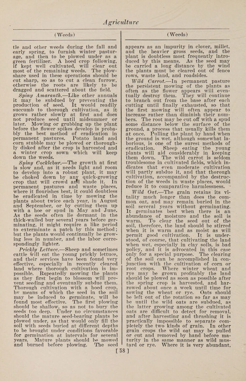 (Weeds) tie and other weeds during the fall and early spring, to furnish winter pastur¬ age, and then to be plowed under as a green fertilizer. A hoed crop following, if kept well cultivated, will clear out most of the remaining weeds. The plow¬ share used in these operations should be cut sharp, so as to cut a clean furrow, otherwise the roots are likely to be dragged and scattered about the field. Spiny Amaranth.—Like other annuals it may be subdued by preventing the production of seed. It would readily succumb to thorough cultivation, as it grows rather slowly at first and does not produce seed until midsummer or later. Mowing or grubbing up the plant before the flower spikes develop is proba¬ bly the best method of eradication in permanent pastures. Potato land and corn stubble may be plowed or thorough¬ ly disked after the crop is harvested and a winter crop sown which will keep down the weeds. Spiny Cocklehur.—The growth at first is slow and, as it needs light and room to develop into a robust plant, it may be choked down by any quick-growing crop that will crowd and shade it. In permanent pastures and waste places, where it flourishes best, it could doubtless be eradicated in time by mowing the plants about twice each year, in August and September, or by cutting them up with a hoe or spud in May and June. As the seeds often lie dormant in the thick-walled bur several years before ger¬ minating, it might require a like period to exterminate a patch by this method; but the plants would continually be grow¬ ing less in number, and the labor corre¬ spondingly lighter. Prickly Lettuce.—Sheep and sometimes cattle will eat the young prickly lettuce, and their services have been found very effective, especial^ in recently cleared land where thorough cultivation is im¬ possible. Repeatedly mowing the plants as they first begin to blossom will pre¬ vent seeding and eventually subdue them. Thorough cultivation with a hoed crop, bv means of which the seed in the soil may be induced to germinate, will be found most effective. The first plowing should be shallow, so as not to bury the seeds too deep. Under no circumstances should the mature seed-bearing plants be plowed under, as that would only fill the soil with seeds buried at different depths to be brought under conditions favorable for germination at intervals for several years. Mature plants should be mowed and burned before plowing. The seed (Weeds) appears as an impurity in clover, millet, and the heavier gross seeds, and the plant is doubtless most frequently intro¬ duced by this means. As the seed may be carried a long distance by the wind the plants must be cleared out of fence rows, waste land, and roadsides. Wild Carrot.—In permanent pasture the persistent mowing of the plants as often as the flower appears will even¬ tually destroy them. They will continue to branch out from the base after each cutting until finally exhausted, so that the first mowing will often appear to increase rather than diminish their num¬ bers. The root may be cut off with a spud some distance below the surface of the ground, a process that usually kills them at once. Pulling the plant by hand when the ground is wet. although somewhat la¬ borious, is one of the surest methods of eradication. Sheep eating the young plants will aid considerably in keeping them down. The wild carrot is seldom troublesome in cultivated fields, which in¬ dicates that even moderate cultivation will partly subdue it, and that thorough cultivation, accompanied by the destruc¬ tion of the weeds in waste places, would reduce it to comparative harmlessness. - Wild Oat.—The grain retains its vi¬ tality much longer than does the com¬ mon oat, and may remain buried in the soil several years without germinating. It germinates best when there is an abundance of moisture and the soil is warm. To clear the seed out of the soil, therefore, the land should be stirred when it is warm and as moist as will permit good cultivation. It is under¬ stood, of course, that cultivating the land when wet, especially in clay soils, is bad policy, and it is advocated in this case only for a special purpose. The clearing of the soil can be accomplished in con¬ junction with the cultivation of corn or root crops. Where winter wheat and rye may be grown profitably the land should be plowed as soon as possible after the spring crop is harvested, and har¬ rowed about once a week until time for sowing the wheat or rye. Oats should be left out of the rotation so far as may be until the Avild oats are subdued, as the latter growing among the cultivated oats are difficult to detect for removal, and after harvesting and thrashing it is practically impossible to separate com¬ pletely the two kinds of grain. In other grain crops the wild oat may be pulled or cut and removed by hand before ma¬ turity in the same manner as wild mus¬ tard or rye. Where it is very abundant, [58]