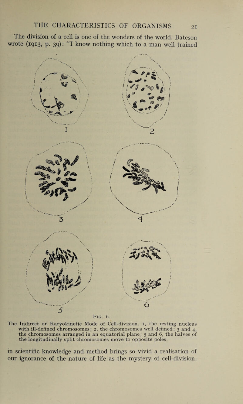 The division of a cell is one of the wonders of the world. Bateson wrote (1913, p. 39): “I know nothing which to a man well trained Fig. 6. The Indirect or Karyokinetic Mode of Cell-division, i, the resting nucleus with ill-defined chromosomes; 2, the chromosomes well defined; 3 and 4, the chromosomes arranged in an equatorial plane; 5 and 6, the halves of the longitudinally split chromosomes move to opposite poles. in scientific knowledge and method brings so vivid a realisation of our ignorance of the nature of life as the mystery of cell-division.