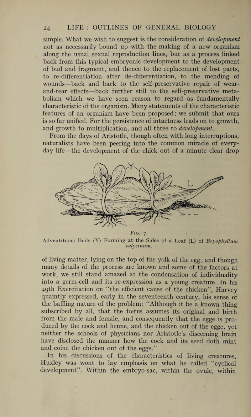 simple. What we wish to suggest is the consideration of development not as necessarily bound up with the making of a new organism along the usual sexual reproduction lines, but as a process linked back from this typical embryonic development to the development of bud and fragment, and thence to the replacement of lost parts, to re-differentiation after de-differentiation, to the mending of wounds—back and back to the self-preservative repair of wear- and-tear effects—back further still to the self-preservative meta¬ bolism which we have seen reason to regard as fundamentally characteristic of the organism. Many statements of the characteristic features of an organism have been proposed; we submit that ours is so far unified. For the persistence of intactness leads on to growth, and growth to multiplication, and all three to development. From the days of Aristotle, though often with long interruptions, naturalists have been peering into the common miracle of every¬ day life—the development of the chick out of a minute clear drop Fig. 7. Adventitious Buds (Y) Forming at the Sides of a Leaf (L) of Bryophyllum calycinum. of living matter, lying on the top of the yolk of the egg; and though many details of the process are known and some of the factors at work, we still stand amazed at the condensation of individuality into a germ-cell and its re-expression as a young creature. In his 49th Exercitation on “the efficient cause of the chicken’', Harvey quaintly expressed, early in the seventeenth century, his sense of the baffling nature of the problem: “Although it be a known thing subscribed by all, that the foetus assumes its original and birth from the male and female, and consequently that the egge is pro¬ duced by the cock and henne, and the chicken out of the egge, yet neither the schools of physicians nor Aristotle’s discerning brain have disclosed the manner how the cock and its seed doth mint and coine the chicken out of the egge.” In his discussions of the characteristics of living creatures, Huxley was wont to lay emphasis on what he called “cyclical development”. Within the embryo-sac, within the ovule, within