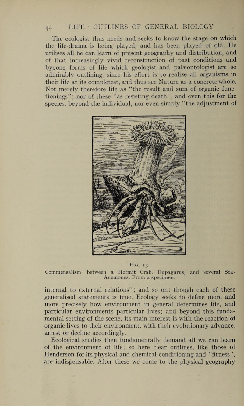 The ecologist thus needs and seeks to know the stage on which the life-drama is being played, and has been played of old. He utilises all he can learn of present geography and distribution, and of that increasingly vivid reconstruction of past conditions and bygone forms of life which geologist and palaeontologist are so admirably outlining; since his effort is to realize all organisms in their life at its completest, and thus see Nature as a concrete whole. Not merely therefore life as “the result and sum of organic func¬ tionings’'; nor of these “as resisting death”, and even this for the species, beyond the individual, nor even simply “the adjustment of Fig. 13. Commensalism between a Hermit Crab, Eupagurus, and several Sea- Anemones. From a specimen. internal to external relations”; and so on: though each of these generalised statements is true. Ecology seeks to define more and more precisely how environment in general determines life, and particular environments particular lives; and beyond this funda¬ mental setting of the scene, its main interest is with the reaction of organic lives to their environment, with their evolutionary advance, arrest or decline accordingly. Ecological studies then fundamentally demand all we can learn of the environment of life; so here clear outlines, like those of Henderson for its physical and chemical conditioning and “fitness”, are indispensable. After these we come to the physical geography