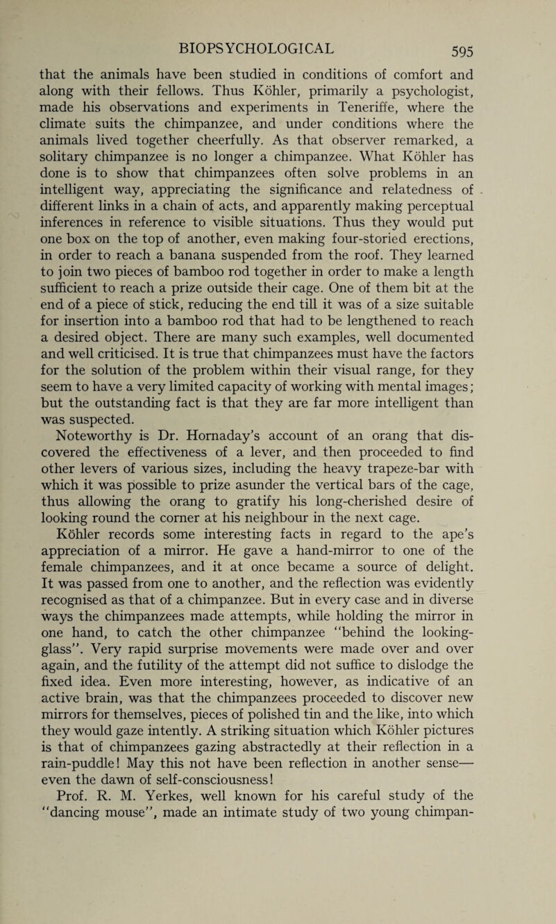 that the animals have been studied in conditions of comfort and along with their fellows. Thus Kohler, primarily a psychologist, made his observations and experiments in Teneriffe, where the climate suits the chimpanzee, and under conditions where the animals lived together cheerfully. As that observer remarked, a solitary chimpanzee is no longer a chimpanzee. What Kohler has done is to show that chimpanzees often solve problems in an intelligent way, appreciating the significance and relatedness of . different links in a chain of acts, and apparently making perceptual inferences in reference to visible situations. Thus they would put one box on the top of another, even making four-storied erections, in order to reach a banana suspended from the roof. They learned to join two pieces of bamboo rod together in order to make a length sufficient to reach a prize outside their cage. One of them bit at the end of a piece of stick, reducing the end till it was of a size suitable for insertion into a bamboo rod that had to be lengthened to reach a desired object. There are many such examples, well documented and well criticised. It is true that chimpanzees must have the factors for the solution of the problem within their visual range, for they seem to have a very limited capacity of working with mental images; but the outstanding fact is that they are far more intelligent than was suspected. Noteworthy is Dr. Hornaday’s account of an orang that dis¬ covered the effectiveness of a lever, and then proceeded to find other levers of various sizes, including the heavy trapeze-bar with which it was possible to prize asunder the vertical bars of the cage, thus allowing the orang to gratify his long-cherished desire of looking round the corner at his neighbour in the next cage. Kohler records some interesting facts in regard to the ape's appreciation of a mirror. He gave a hand-mirror to one of the female chimpanzees, and it at once became a source of delight. It was passed from one to another, and the reflection was evidently recognised as that of a chimpanzee. But in every case and in diverse ways the chimpanzees made attempts, while holding the mirror in one hand, to catch the other chimpanzee “behind the looking- glass. Very rapid surprise movements were made over and over again, and the futility of the attempt did not suffice to dislodge the fixed idea. Even more interesting, however, as indicative of an active brain, was that the chimpanzees proceeded to discover new mirrors for themselves, pieces of polished tin and the like, into which they would gaze intently. A striking situation which Kohler pictures is that of chimpanzees gazing abstractedly at their reflection in a rain-puddle! May this not have been reflection in another sense— even the dawn of self-consciousness! Prof. R. M. Yerkes, well known for his careful study of the “dancing mouse, made an intimate study of two young chimpan-