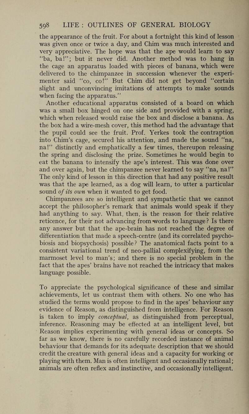 the appearance of the fruit. For about a fortnight this kind of lesson was given once or twice a day, and Chim was much interested and very appreciative. The hope was that the ape would learn to say “ba, ba!”; but it never did. Another method was to hang in the cage an apparatus loaded with pieces of banana, which were delivered to the chimpanzee in succession whenever the experi¬ menter said “co, co!” But Chim did not get beyond “certain slight and unconvincing imitations of attempts to make sounds when facing the apparatus.” Another educational apparatus consisted of a board on which was a small box hinged on one side and provided with a spring, which when released would raise the box and disclose a banana. As the box had a wire-mesh cover, this method had the advantage that the pupil could see the fruit. Prof. Yerkes took the contraption into Chim's cage, secured his attention, and made the sound “na, na!” distinctly and emphatically a few times, thereupon releasing the spring and disclosing the prize. Sometimes he would begin to eat the banana to intensify the ape's interest. This was done over and over again, but the chimpanzee never learned to say “na, na!” The only kind of lesson in this direction that had any positive result was that the ape learned, as a dog will learn, to utter a particular sound of its own when it wanted to get food. Chimpanzees are so intelligent and sympathetic that we cannot accept the philosopher's remark that animals would speak if they had anything to say. What, then, is the reason for their relative reticence, for their not advancing from -words to language ? Is there any answer but that the ape-brain has not reached the degree of differentiation that made a speech-centre (and its correlated psycho- biosis and biopsychosis) possible? The anatomical facts point to a consistent variational trend of neo-pallial complexifying, from the marmoset level to man's; and there is no special problem in the fact that the apes’ brains have not reached the intricacy that makes language possible. To appreciate the psychological significance of these and similar achievements, let us contrast them with others. No one who has studied the terms would propose to find in the apes' behaviour any evidence of Reason, as distinguished from intelligence. For Reason is taken to imply conceptual, as distinguished from perceptual, inference. Reasoning may be effected at an intelligent level, but Reason implies experimenting with general ideas or concepts. So far as we know, there is no carefully recorded instance of animal behaviour that demands for its adequate description that we should credit the creature with general ideas and a capacity for working or playing with them. Man is often intelligent and occasionally rational; animals are often reflex and instinctive, and occasionally intelligent.