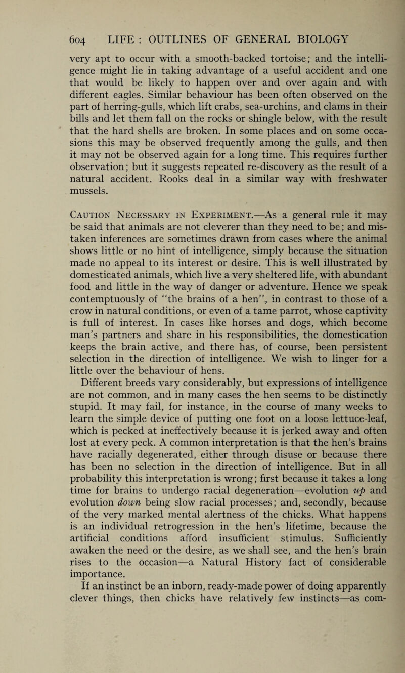 very apt to occur with a smooth-backed tortoise; and the intelli¬ gence might lie in taking advantage of a useful accident and one that would be likely to happen over and over again and with different eagles. Similar behaviour has been often observed on the part of herring-gulls, which lift crabs, sea-urchins, and clams in their bills and let them fall on the rocks or shingle below, with the result that the hard shells are broken. In some places and on some occa¬ sions this may be observed frequently among the gulls, and then it may not be observed again for a long time. This requires further observation; but it suggests repeated re-discovery as the result of a natural accident. Rooks deal in a similar way with freshwater mussels. Caution Necessary in Experiment.—As a general rule it may be said that animals are not cleverer than they need to be; and mis¬ taken inferences are sometimes drawn from cases where the animal shows little or no hint of intelligence, simply because the situation made no appeal to its interest or desire. This is well illustrated by domesticated animals, which live a very sheltered life, with abundant food and little in the way of danger or adventure. Hence we speak contemptuously of “the brains of a hen”, in contrast to those of a crow in natural conditions, or even of a tame parrot, whose captivity is full of interest. In cases like horses and dogs, which become man’s partners and share in his responsibilities, the domestication keeps the brain active, and there has, of course, been persistent selection in the direction of intelligence. We wish to linger for a little over the behaviour of hens. Different breeds vary considerably, but expressions of intelligence are not common, and in many cases the hen seems to be distinctly stupid. It may fail, for instance, in the course of many weeks to learn the simple device of putting one foot on a loose lettuce-leaf, which is pecked at ineffectively because it is jerked away and often lost at every peck. A common interpretation is that the hen’s brains have racially degenerated, either through disuse or because there has been no selection in the direction of intelligence. But in all probability this interpretation is wrong; first because it takes a long time for brains to undergo racial degeneration—evolution up and evolution down being slow racial processes; and, secondly, because of the very marked mental alertness of the chicks. What happens is an individual retrogression in the hen’s lifetime, because the artificial conditions afford insufficient stimulus. Sufficiently awaken the need or the desire, as we shall see, and the hen’s brain rises to the occasion—a Natural History fact of considerable importance. If an instinct be an inborn, ready-made power of doing apparently clever things, then chicks have relatively few instincts—as com-