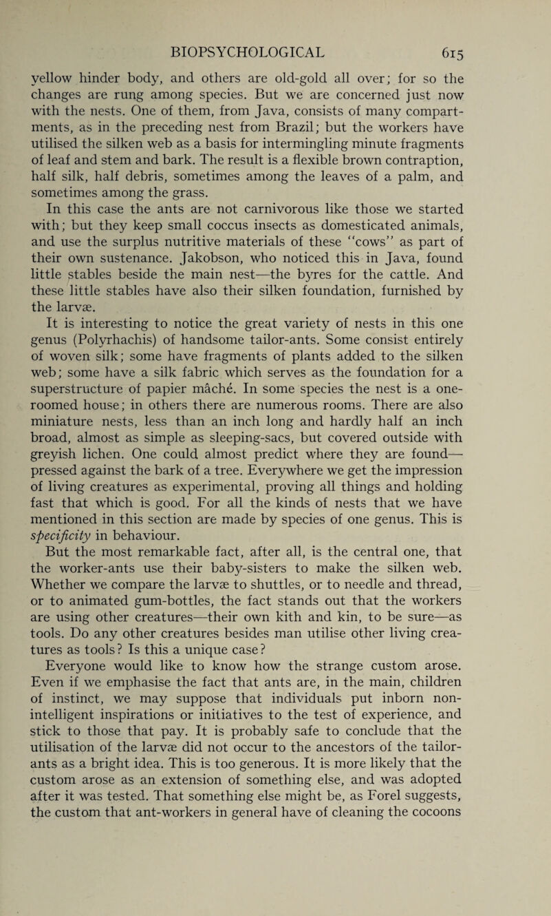 yellow hinder body, and others are old-gold all over; for so the changes are rung among species. But we are concerned just now with the nests. One of them, from Java, consists of many compart¬ ments, as in the preceding nest from Brazil; but the workers have utilised the silken web as a basis for intermingling minute fragments of leaf and stem and bark. The result is a flexible brown contraption, half silk, half debris, sometimes among the leaves of a palm, and sometimes among the grass. In this case the ants are not carnivorous like those we started with; but they keep small coccus insects as domesticated animals, and use the surplus nutritive materials of these “cows” as part of their own sustenance. Jakobson, who noticed this in Java, found little stables beside the main nest—the byres for the cattle. And these little stables have also their silken foundation, furnished by the larvae. It is interesting to notice the great variety of nests in this one genus (Polyrhachis) of handsome tailor-ants. Some consist entirely of woven silk; some have fragments of plants added to the silken web; some have a silk fabric which serves as the foundation for a superstructure of papier mache. In some species the nest is a one- roomed house; in others there are numerous rooms. There are also miniature nests, less than an inch long and hardly half an inch broad, almost as simple as sleeping-sacs, but covered outside with greyish lichen. One could almost predict where they are found— pressed against the bark of a tree. Everywhere we get the impression of living creatures as experimental, proving all things and holding fast that which is good. For all the kinds of nests that we have mentioned in this section are made by species of one genus. This is specificity in behaviour. But the most remarkable fact, after all, is the central one, that the worker-ants use their baby-sisters to make the silken web. Whether we compare the larvae to shuttles, or to needle and thread, or to animated gum-bottles, the fact stands out that the workers are using other creatures—their own kith and kin, to be sure—as tools. Do any other creatures besides man utilise other living crea¬ tures as tools ? Is this a unique case ? Everyone would like to know how the strange custom arose. Even if we emphasise the fact that ants are, in the main, children of instinct, we may suppose that individuals put inborn non- intelligent inspirations or initiatives to the test of experience, and stick to those that pay. It is probably safe to conclude that the utilisation of the larvae did not occur to the ancestors of the tailor- ants as a bright idea. This is too generous. It is more likely that the custom arose as an extension of something else, and was adopted after it was tested. That something else might be, as Forel suggests, the custom that ant-workers in general have of cleaning the cocoons