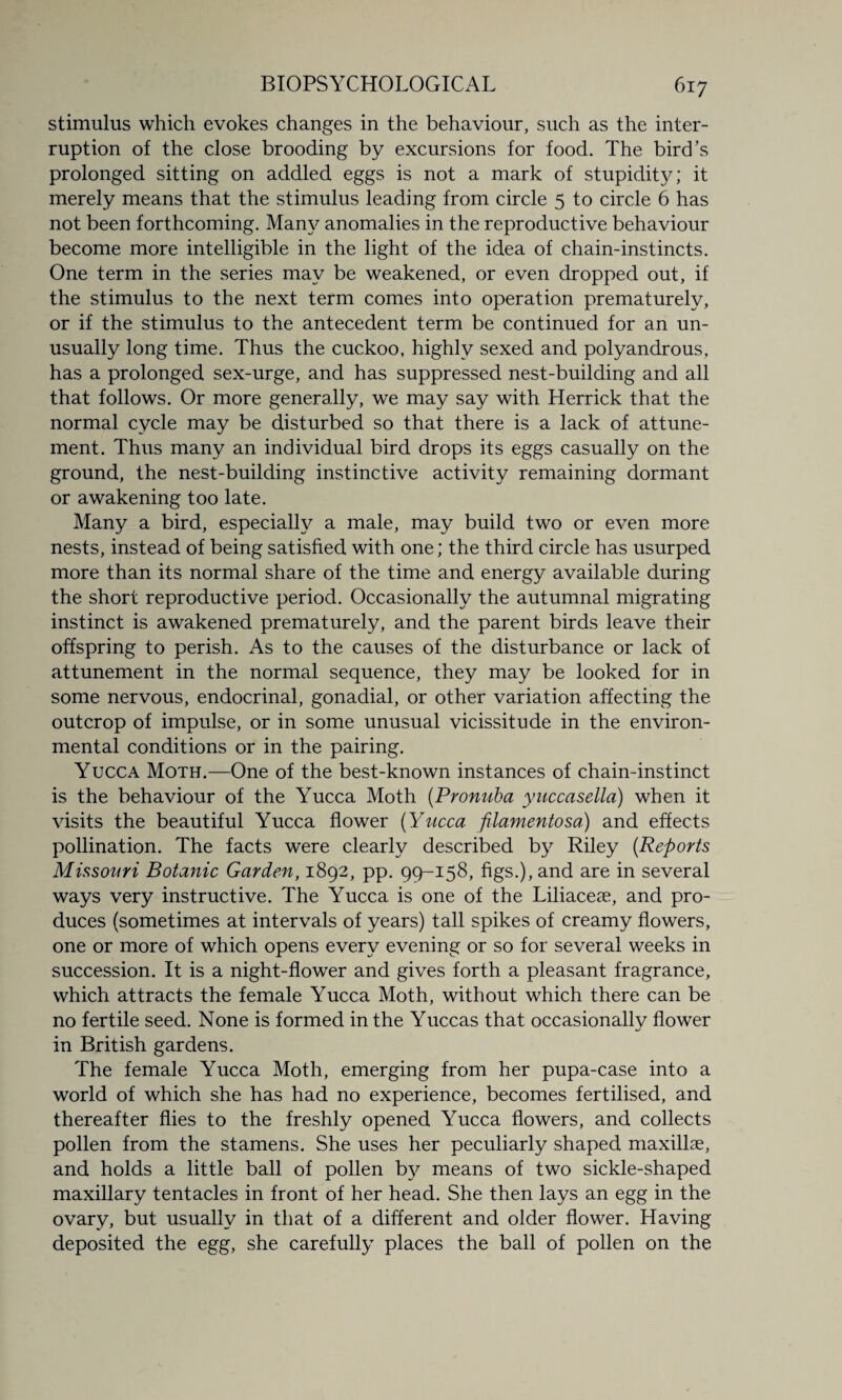 stimulus which evokes changes in the behaviour, such as the inter¬ ruption of the close brooding by excursions for food. The bird’s prolonged sitting on addled eggs is not a mark of stupidity; it merely means that the stimulus leading from circle 5 to circle 6 has not been forthcoming. Many anomalies in the reproductive behaviour become more intelligible in the light of the idea of chain-instincts. One term in the series may be weakened, or even dropped out, if the stimulus to the next term comes into operation prematurely, or if the stimulus to the antecedent term be continued for an un¬ usually long time. Thus the cuckoo, highly sexed and polyandrous, has a prolonged sex-urge, and has suppressed nest-building and all that follows. Or more generally, we may say with Herrick that the normal cycle may be disturbed so that there is a lack of attune- ment. Thus many an individual bird drops its eggs casually on the ground, the nest-building instinctive activity remaining dormant or awakening too late. Many a bird, especially a male, may build two or even more nests, instead of being satisfied with one; the third circle has usurped more than its normal share of the time and energy available during the short reproductive period. Occasionally the autumnal migrating instinct is awakened prematurely, and the parent birds leave their offspring to perish. As to the causes of the disturbance or lack of attunement in the normal sequence, they may be looked for in some nervous, endocrinal, gonadial, or other variation affecting the outcrop of impulse, or in some unusual vicissitude in the environ¬ mental conditions or in the pairing. Yucca Moth.—One of the best-known instances of chain-instinct is the behaviour of the Yucca Moth (Pronuba yuccasella) when it visits the beautiful Yucca flower (Yucca filamentosa) and effects pollination. The facts were clearly described by Riley (Reports Missouri Botanic Garden, 1892, pp. 99-158, figs.), and are in several ways very instructive. The Yucca is one of the Liliaceae, and pro¬ duces (sometimes at intervals of years) tall spikes of creamy flowers, one or more of which opens every evening or so for several weeks in succession. It is a night-flower and gives forth a pleasant fragrance, which attracts the female Yucca Moth, without which there can be no fertile seed. None is formed in the Yuccas that occasionally flower in British gardens. The female Yucca Moth, emerging from her pupa-case into a world of which she has had no experience, becomes fertilised, and thereafter flies to the freshly opened Yucca flowers, and collects pollen from the stamens. She uses her peculiarly shaped maxillae, and holds a little ball of pollen by means of two sickle-shaped maxillary tentacles in front of her head. She then lays an egg in the ovary, but usually in that of a different and older flower. Having deposited the egg, she carefully places the ball of pollen on the