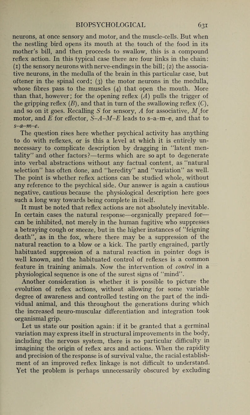 neurons, at once sensory and motor, and the muscle-cells. But when the nestling bird opens its mouth at the touch of the food in its mother’s bill, and then proceeds to swallow, this is a compound reflex action. In this typical case there are four links in the chain: (1) the sensory neurons with nerve-endings in the bill; (2) the associa¬ tive neurons, in the medulla of the brain in this particular case, but oftener in the spinal cord; (3) the motor neurons in the medulla, whose fibres pass to the muscles (4) that open the mouth. More than that, however; for the opening reflex [A) pulls the trigger of the gripping reflex (B), and that in turn of the swallowing reflex (C), and so on it goes. Recalling S for sensory, A for associative, M for motor, and E for effector, S-A-M-E leads to s-a-m-e, and that to s-a-m~e. The question rises here whether psychical activity has anything to do with reflexes, or is this a level at which it is entirely un¬ necessary to complicate description by dragging in ‘'latent men¬ tality” and other factors?—terms which are so apt to degenerate into verbal abstractions without any factual content, as “natural selection” has often done, and “heredity” and “variation” as well. The point is whether reflex actions can be studied whole, without any reference to the psychical side. Our answer is again a cautious negative, cautious because the physiological description here goes such a long way towards being complete in itself. It must be noted that reflex actions are not absolutely inevitable. In certain cases the natural response—organically prepared for— can be inhibited, not merely in the human fugitive who suppresses a betraying cough or sneeze, but in the higher instances of “feigning death”, as in the fox, where there may be a suppression of the natural reaction to a blow or a kick. The partly engrained, partly habituated suppression of a natural reaction in pointer dogs is well known, and the habituated control of reflexes is a common feature in training animals. Now the intervention of control in a physiological sequence is one of the surest signs of “mind”. Another consideration is whether it is possible to picture the evolution of reflex actions, without allowing for some variable degree of awareness and controlled testing on the part of the indi¬ vidual animal, and this throughout the generations during which the increased neuro-muscular differentiation and integration took organismal grip. Let us state our position again: if it be granted that a germinal variation may express itself in structural improvements in the body, including the nervous system, there is no particular difficulty in imagining the origin of reflex arcs and actions. When the rapidity and precision of the response is of survival value, the racial establish¬ ment of an improved reflex linkage is not difficult to understand. Yet the problem is perhaps unnecessarily obscured by excluding